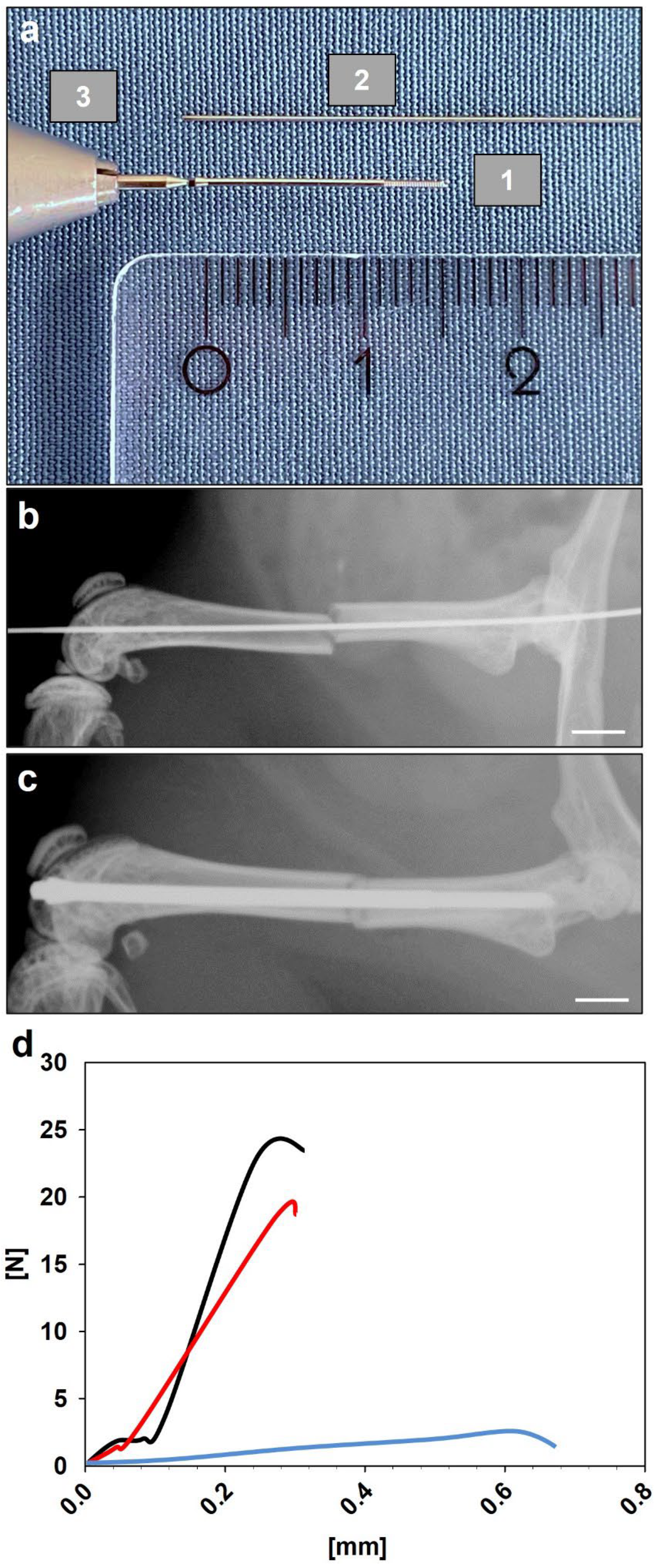 Bioengineering 10 00275 g001