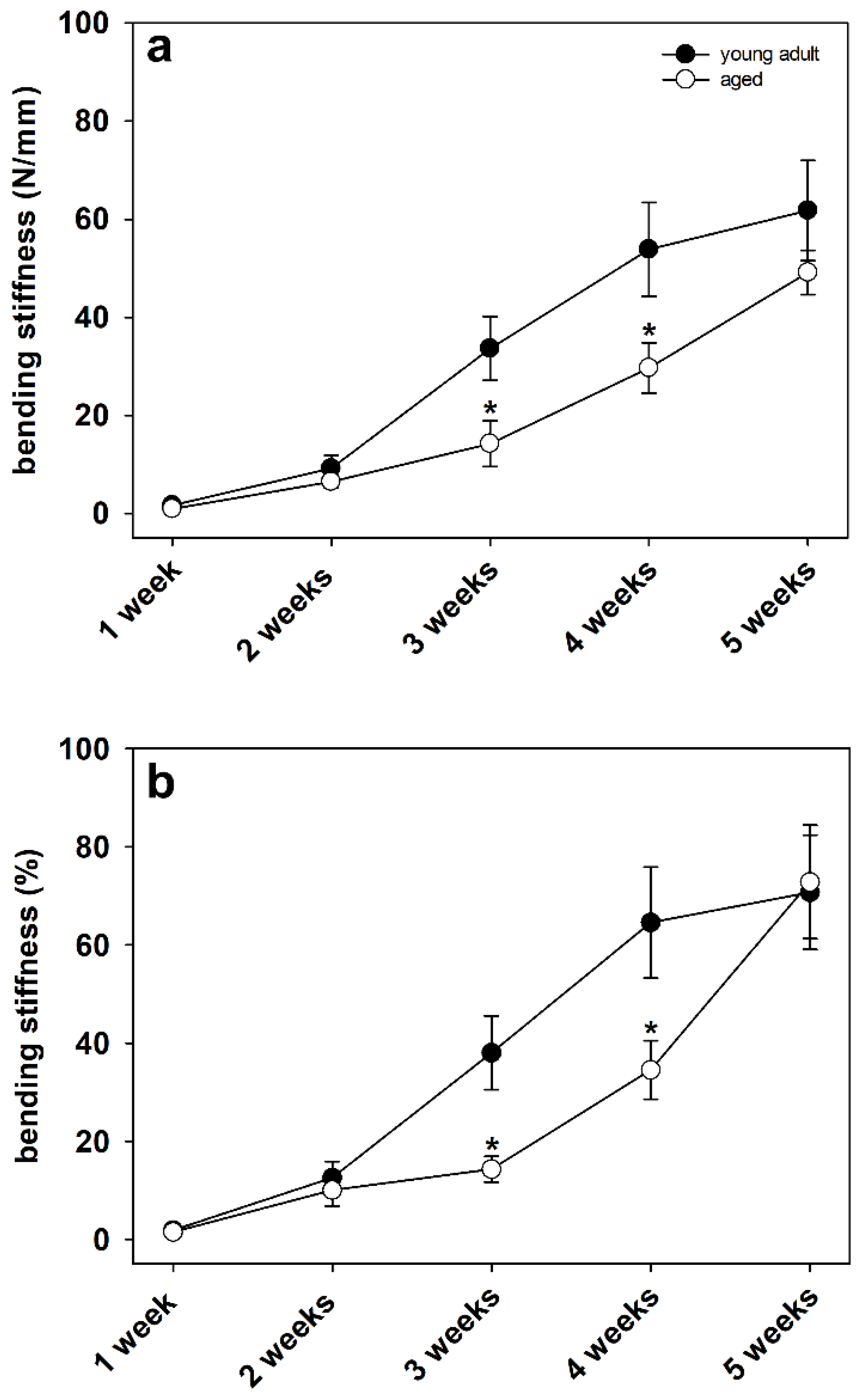 Bioengineering 10 00275 g004
