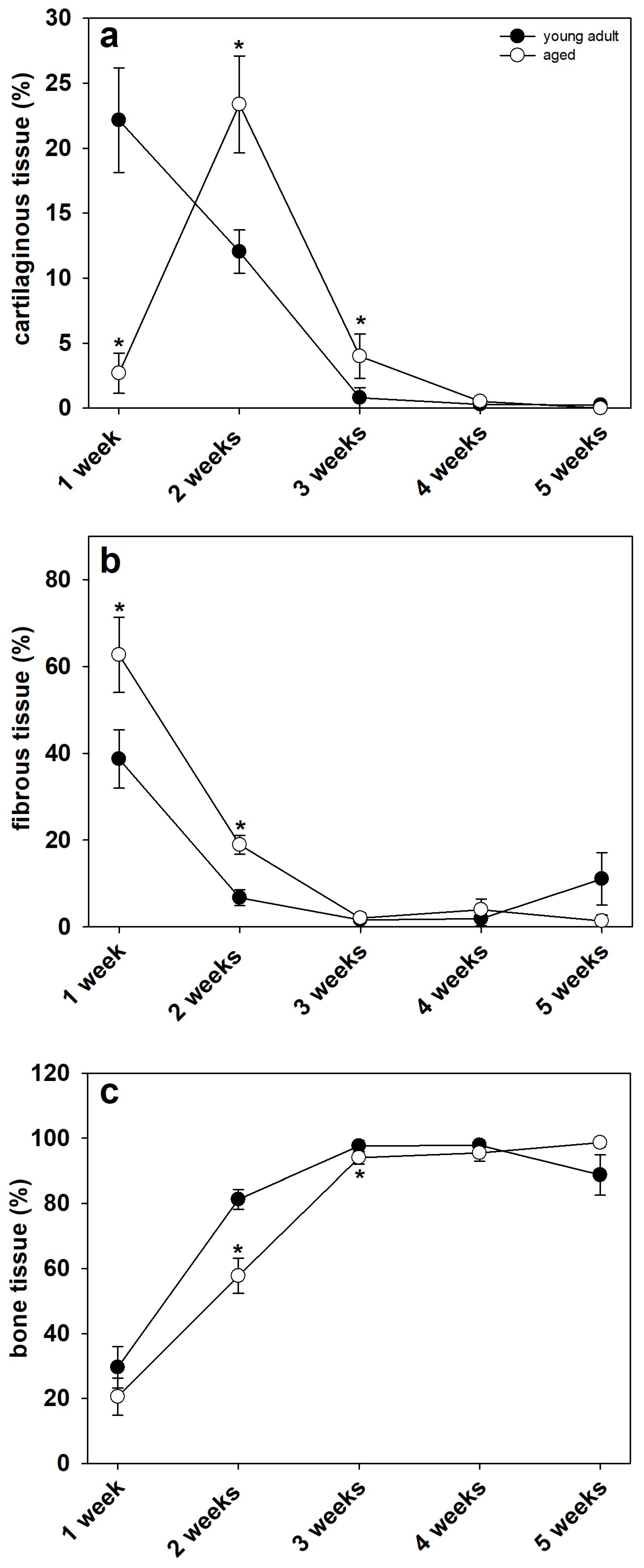 Bioengineering 10 00275 g006