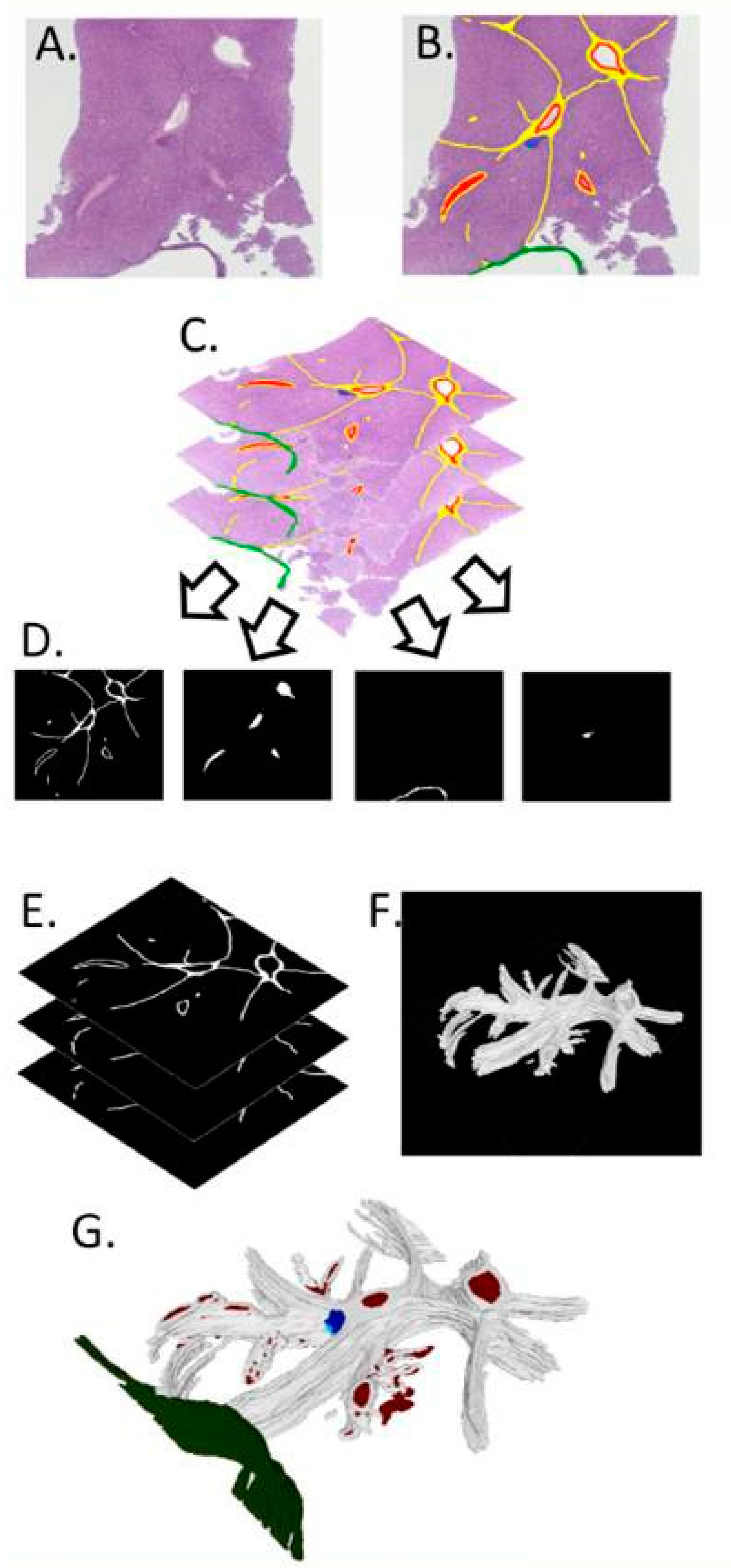 Bioengineering 10 00278 g002 Bioengineering 10 00278 g002