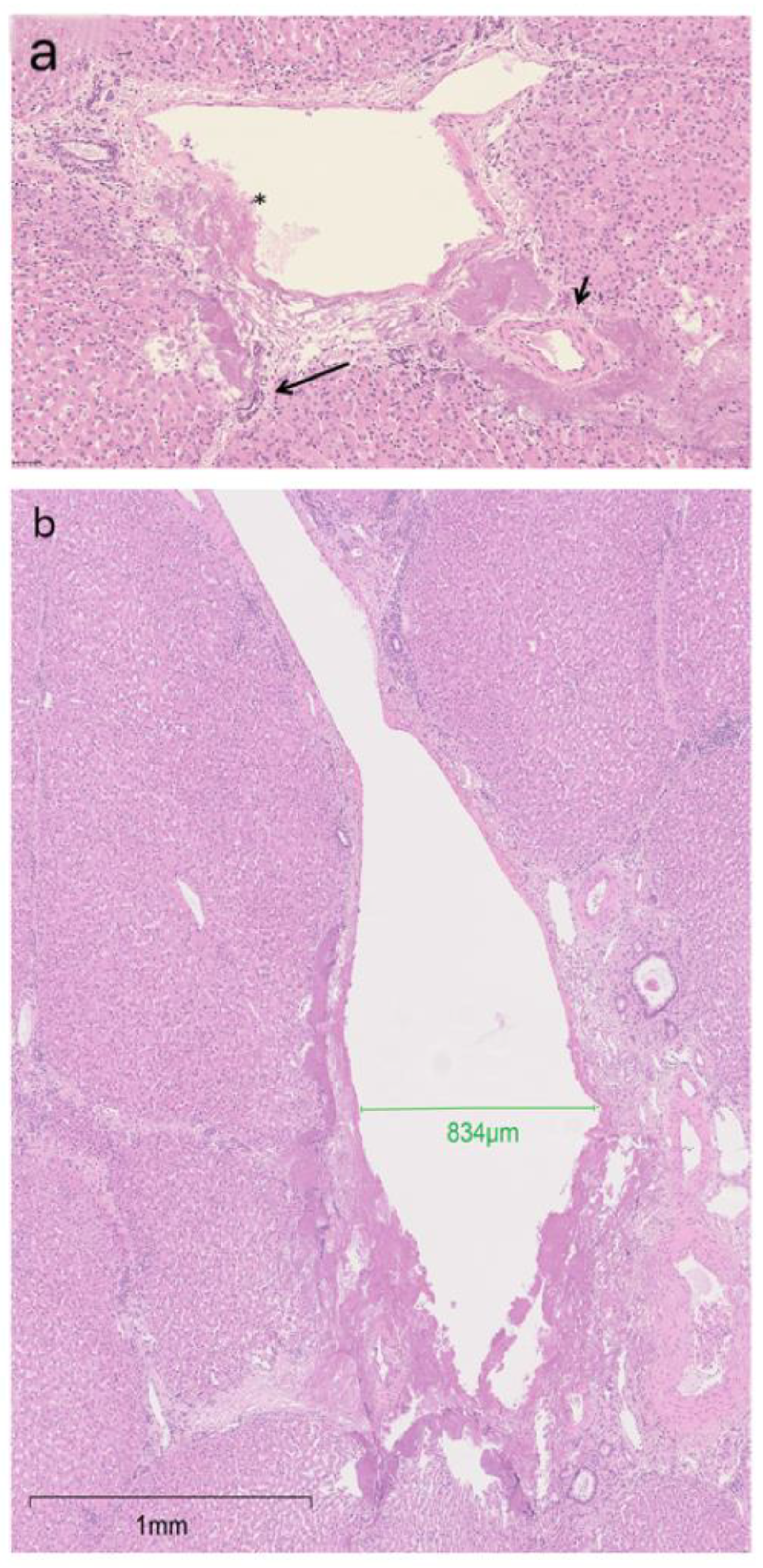 Bioengineering 10 00278 g005 Bioengineering 10 00278 g005