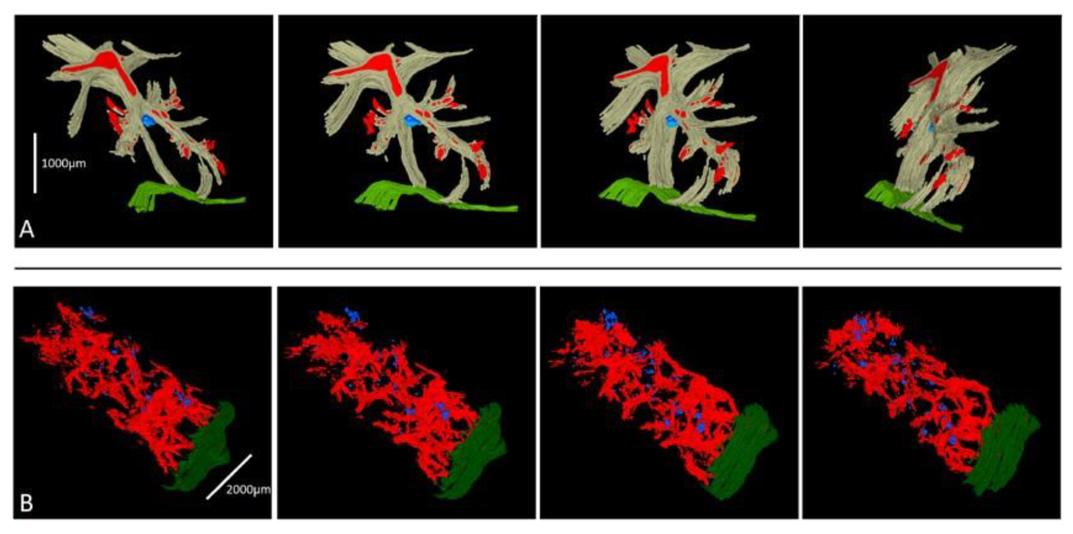 Bioengineering 10 00278 g006 Bioengineering 10 00278 g006