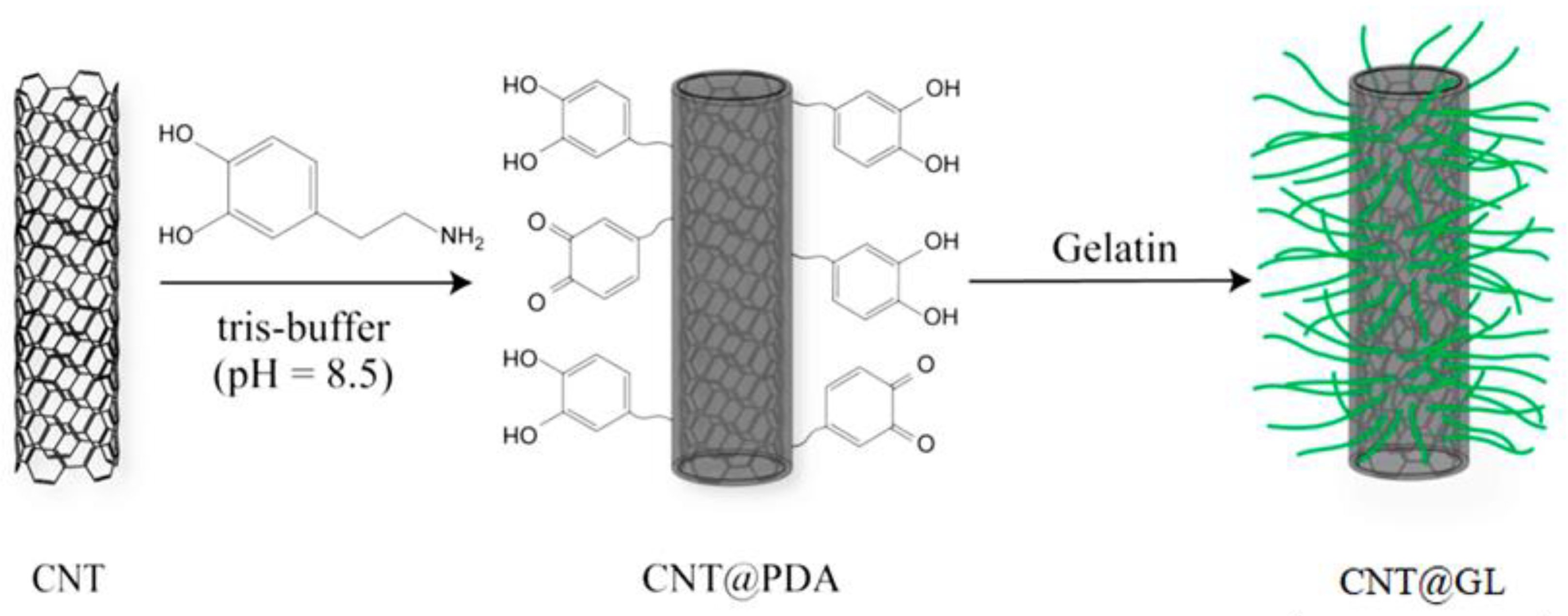 Bioengineering 10 00279 g002 Bioengineering 10 00279 g002