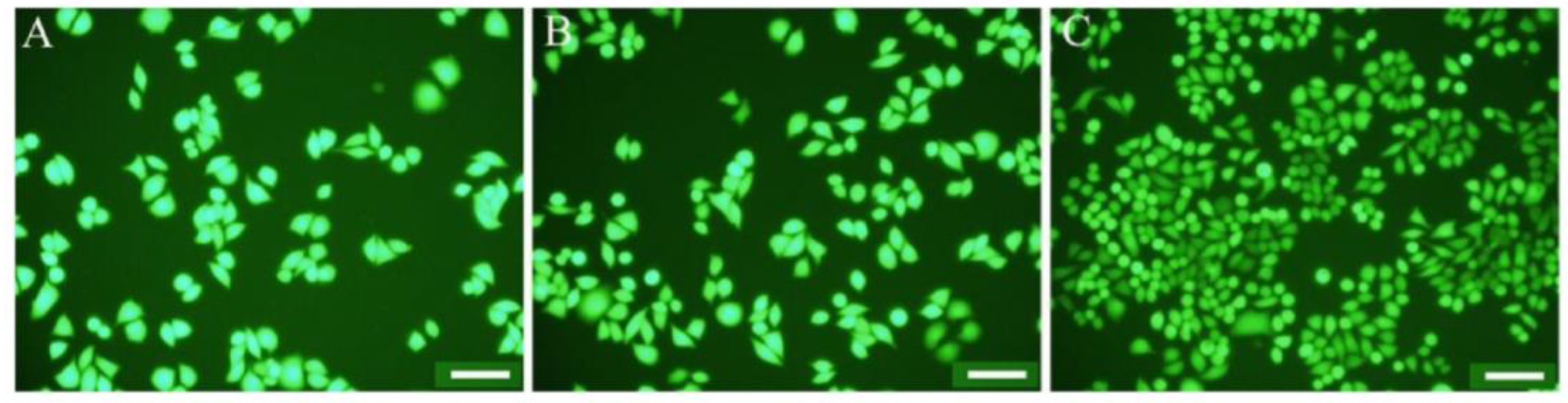 Bioengineering 10 00279 g003 Bioengineering 10 00279 g003