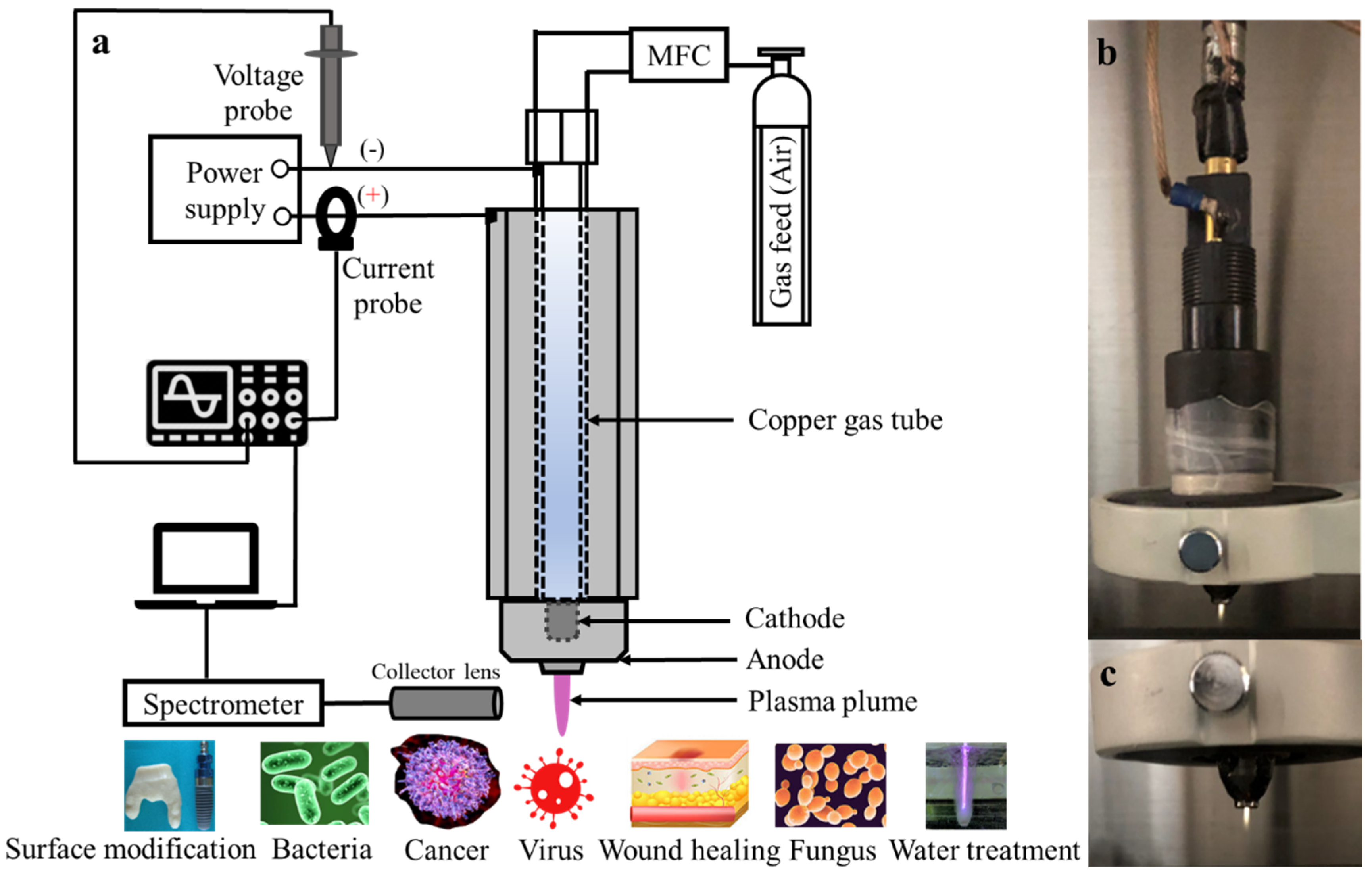 Bioengineering 10 00280 g001