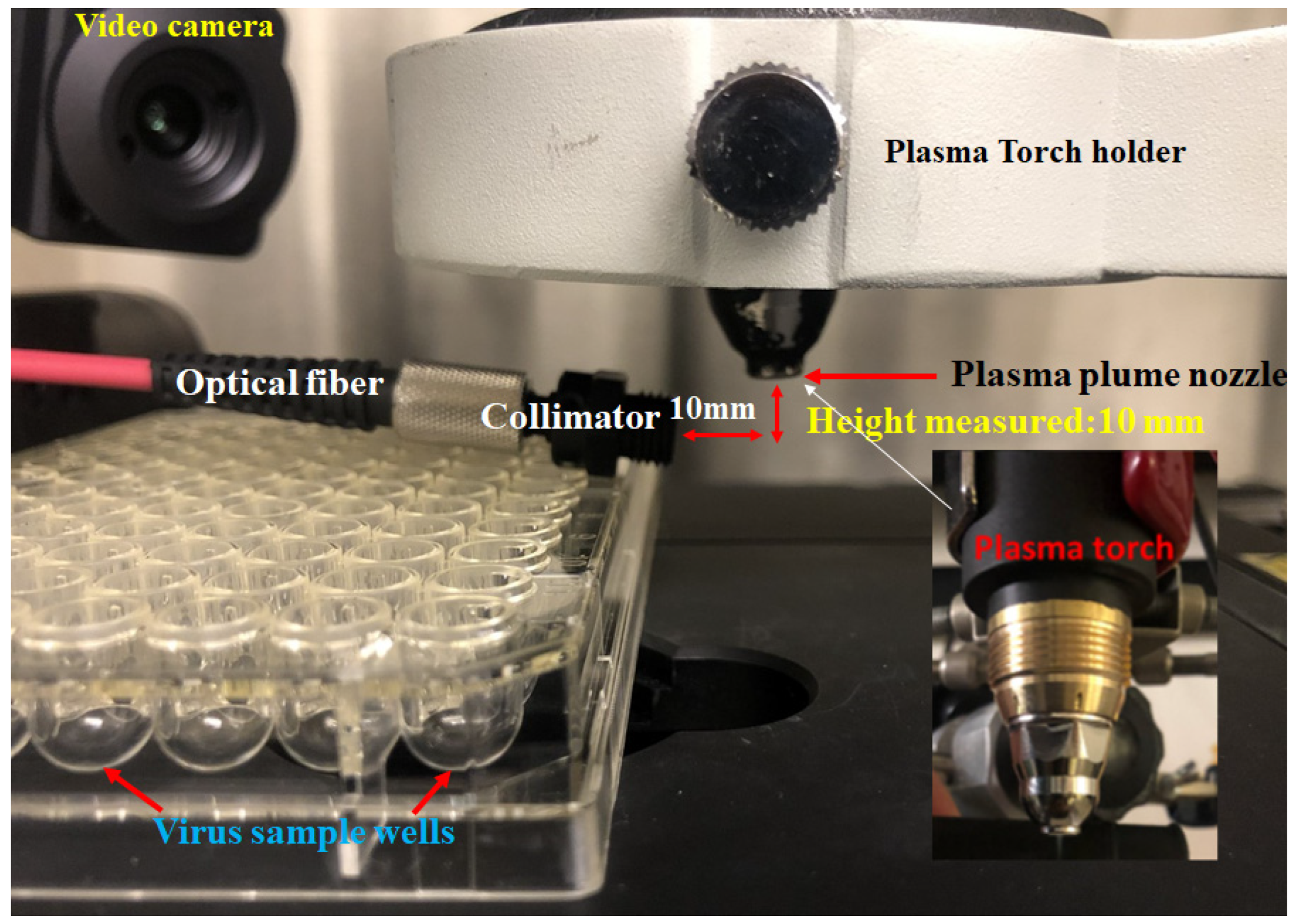 Bioengineering 10 00280 g002