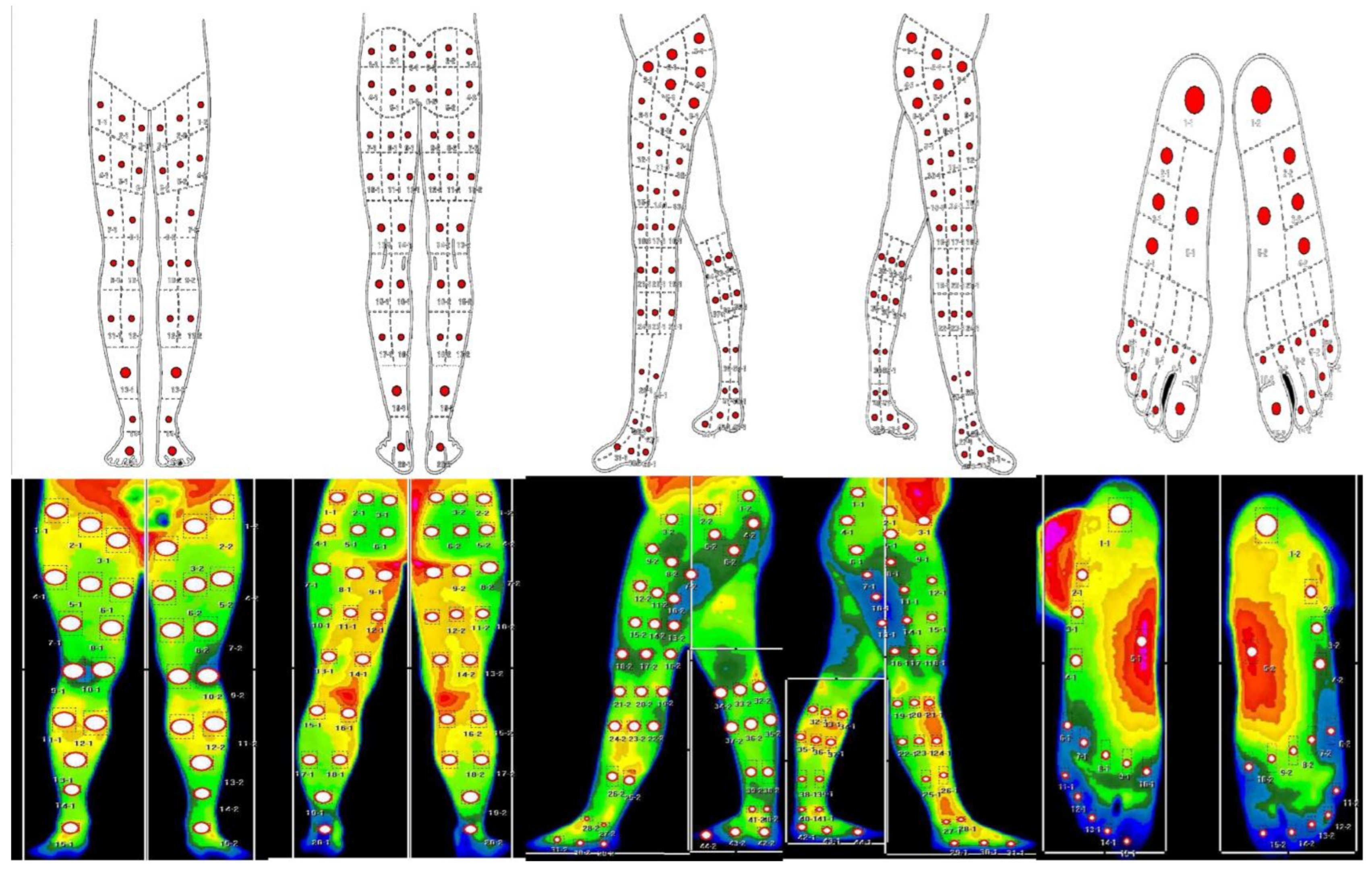 Bioengineering 10 00283 g001