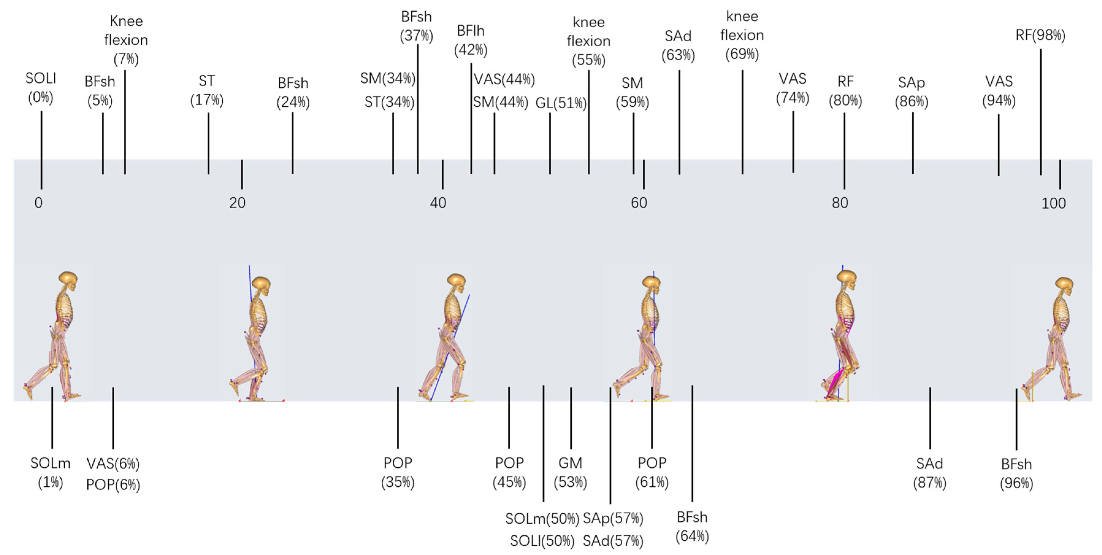 Bioengineering 10 00284 g002