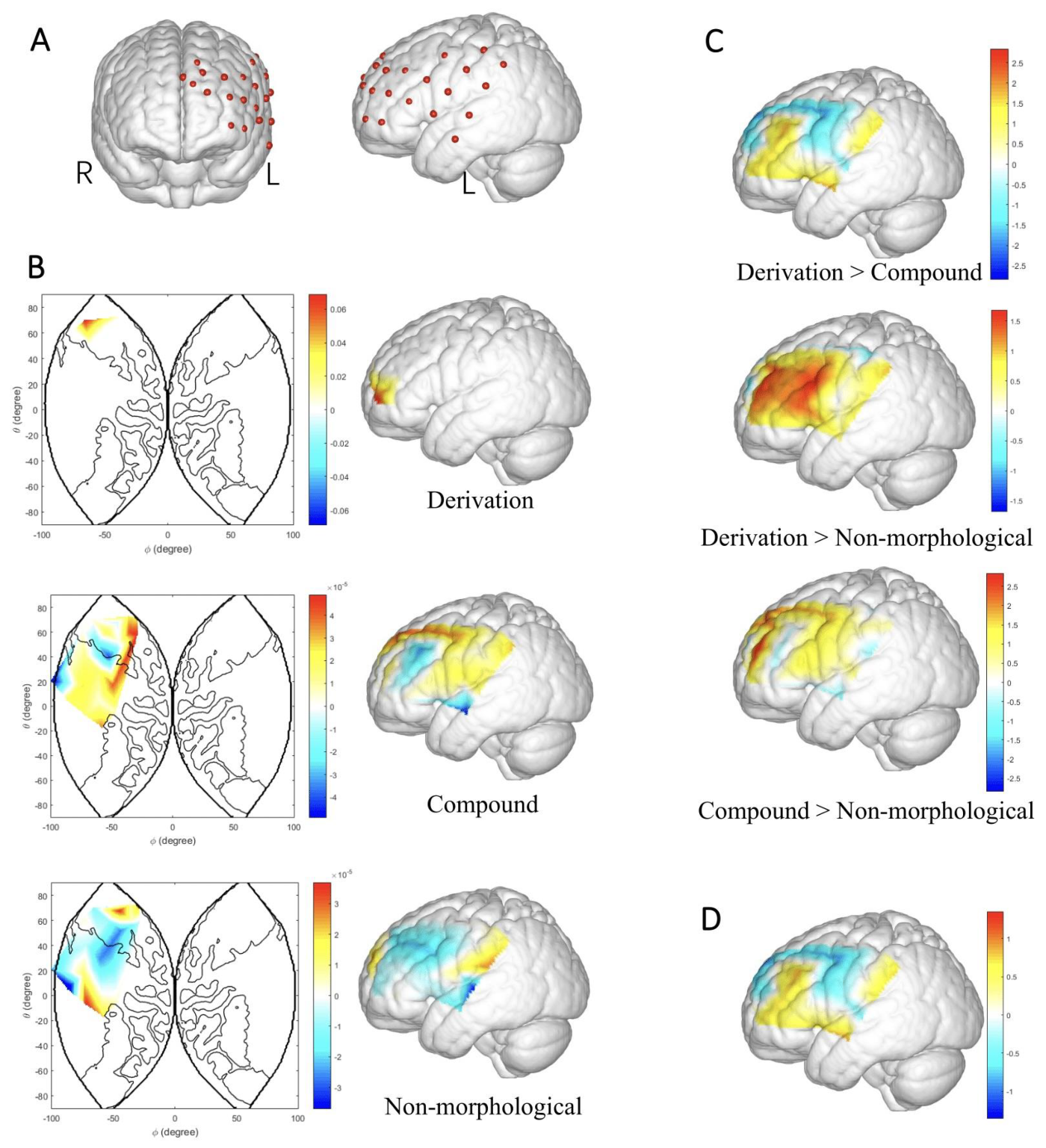 Bioengineering 10 00288 g005