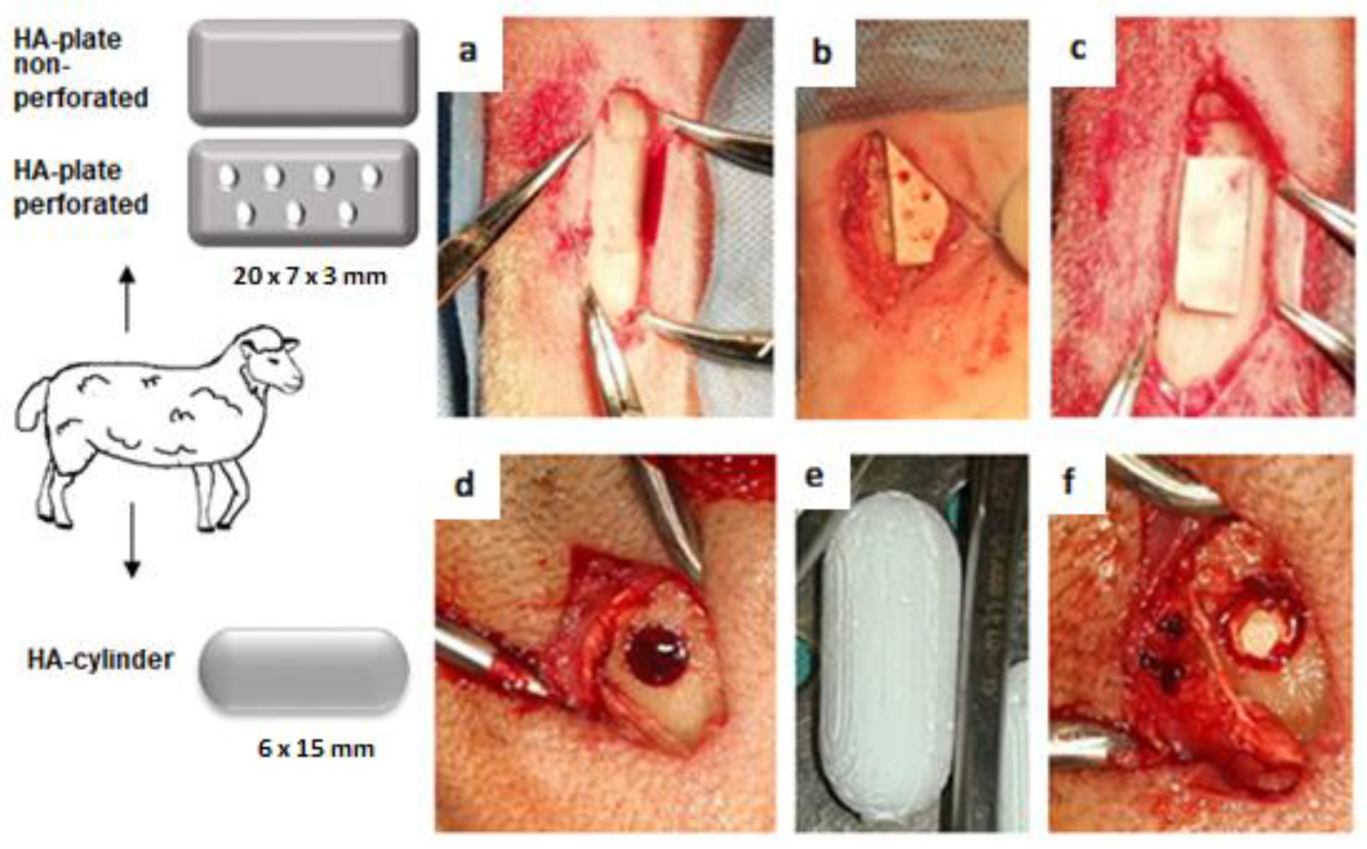 Bioengineering 10 00291 g001