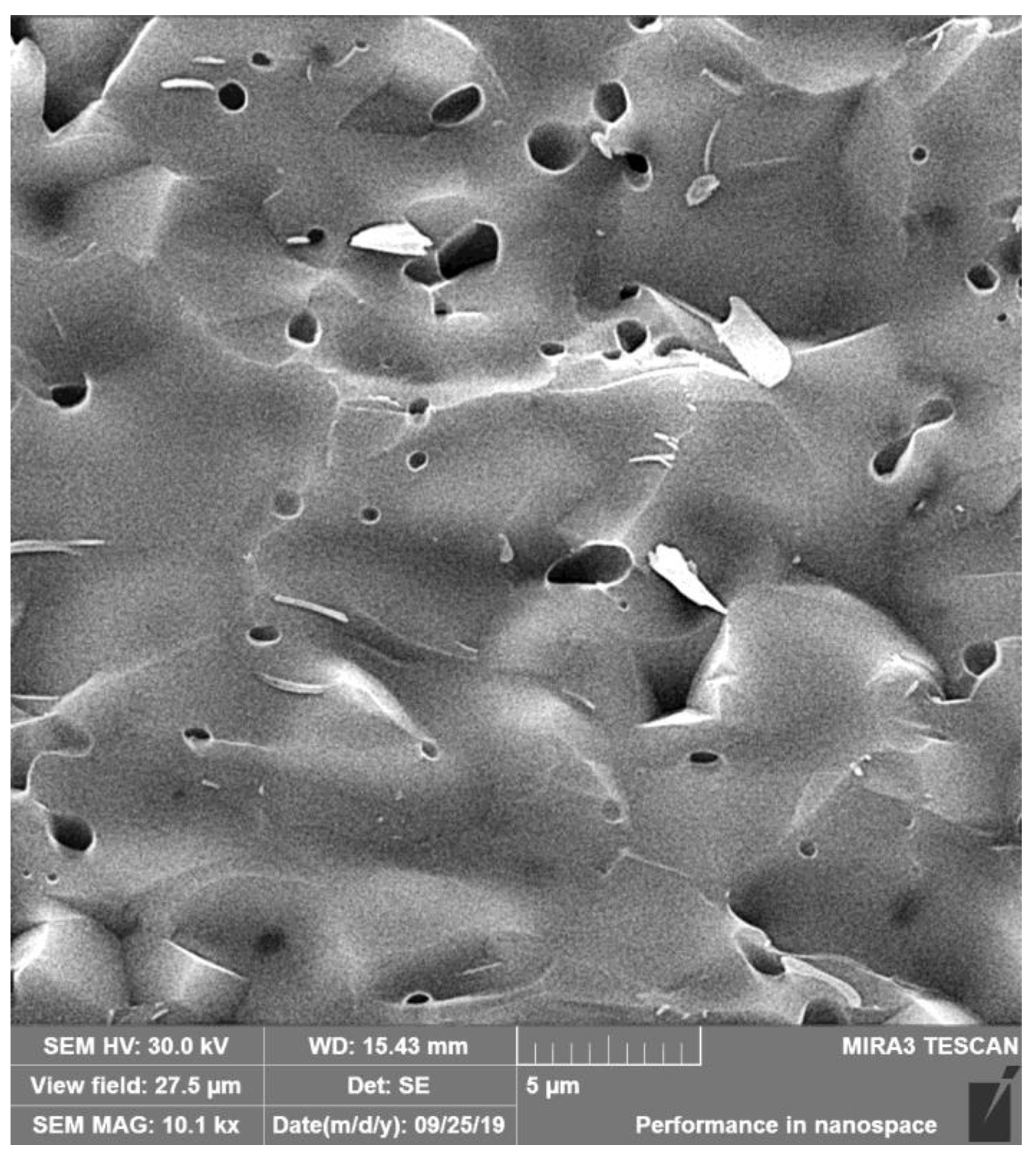 Bioengineering 10 00291 g002