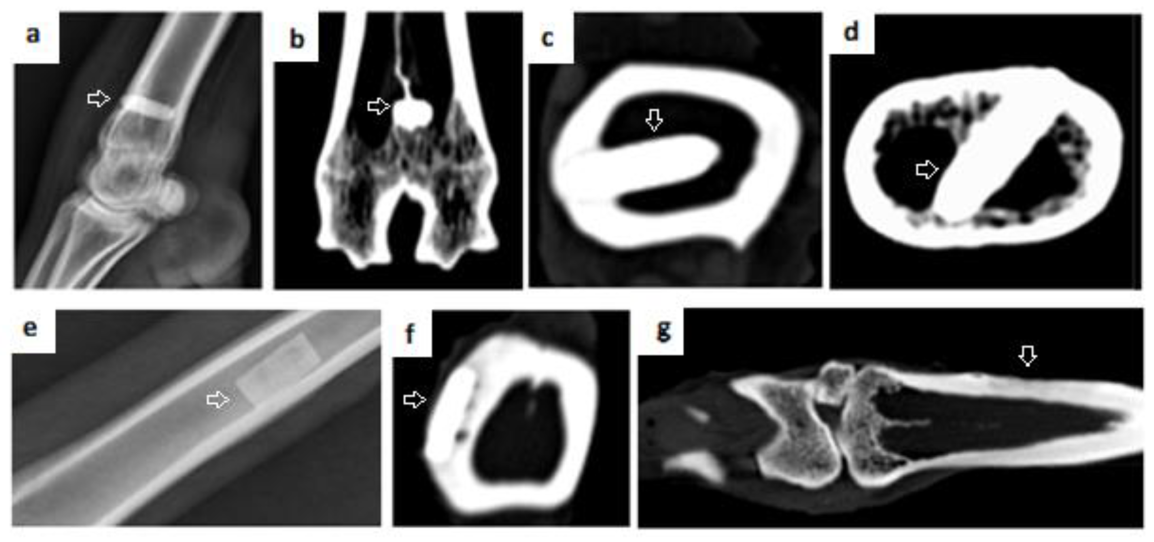 Bioengineering 10 00291 g008