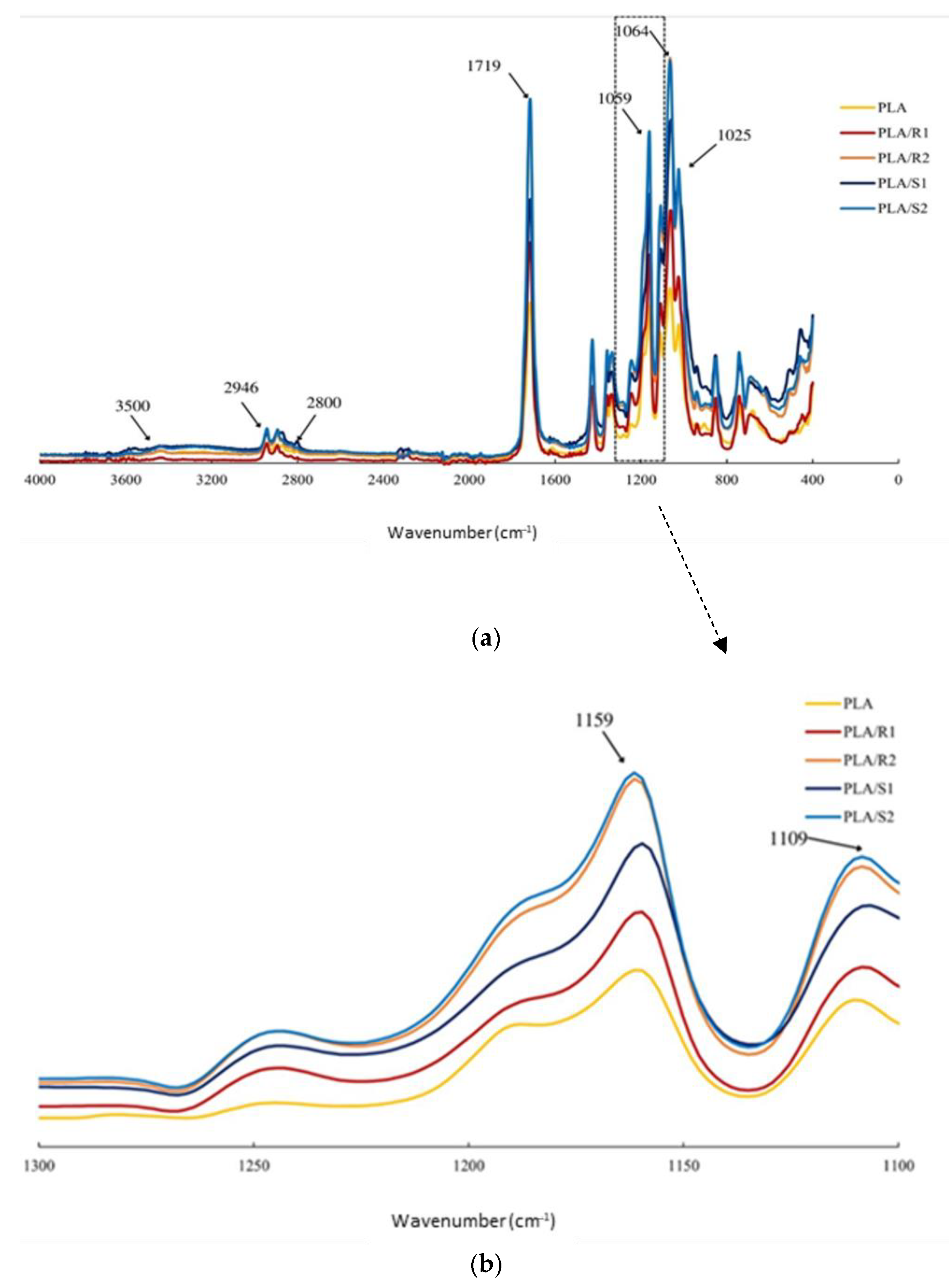 Bioengineering 10 00297 g005 Bioengineering 10 00297 g005