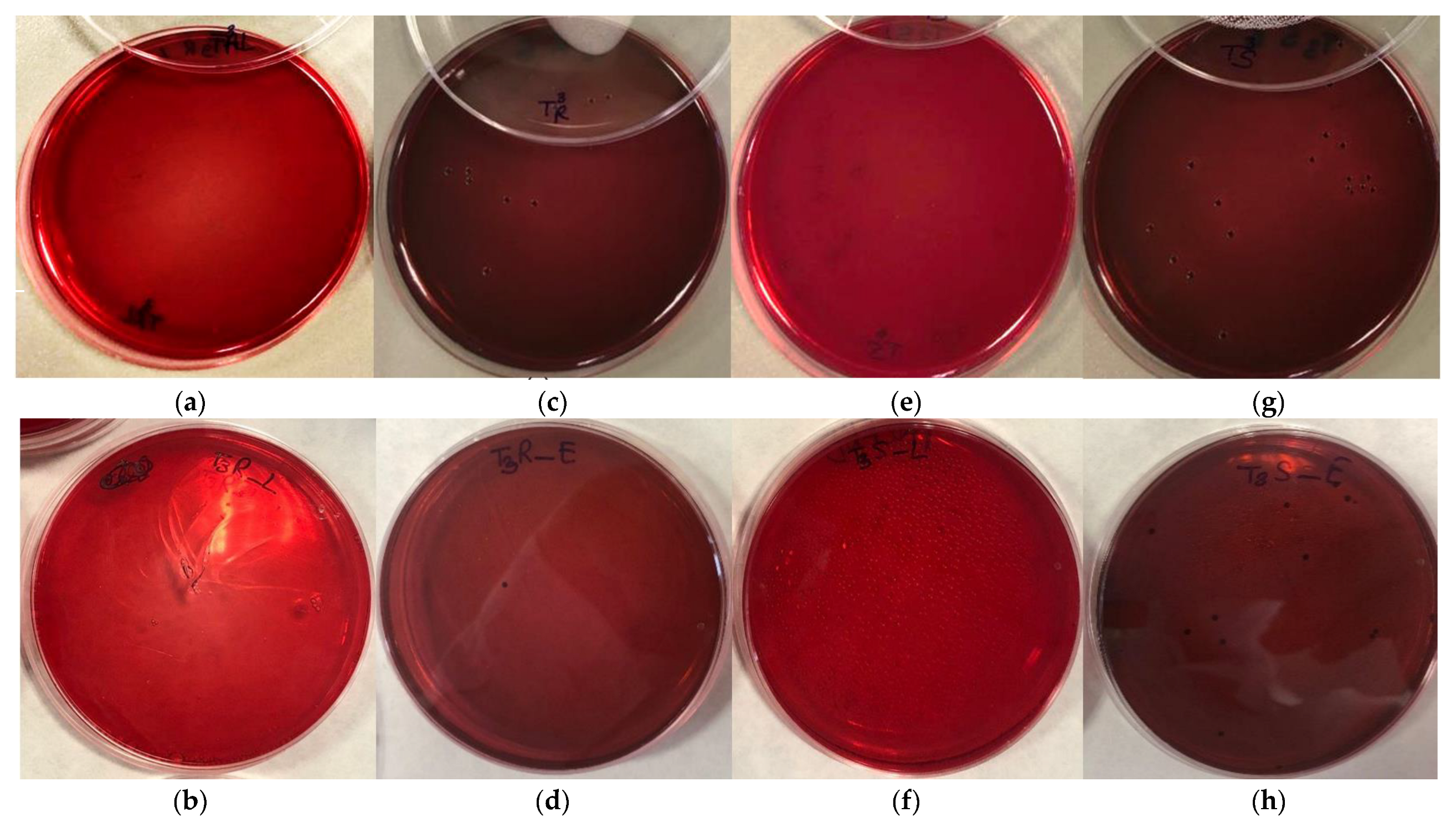 Bioengineering 10 00297 g006 Bioengineering 10 00297 g006