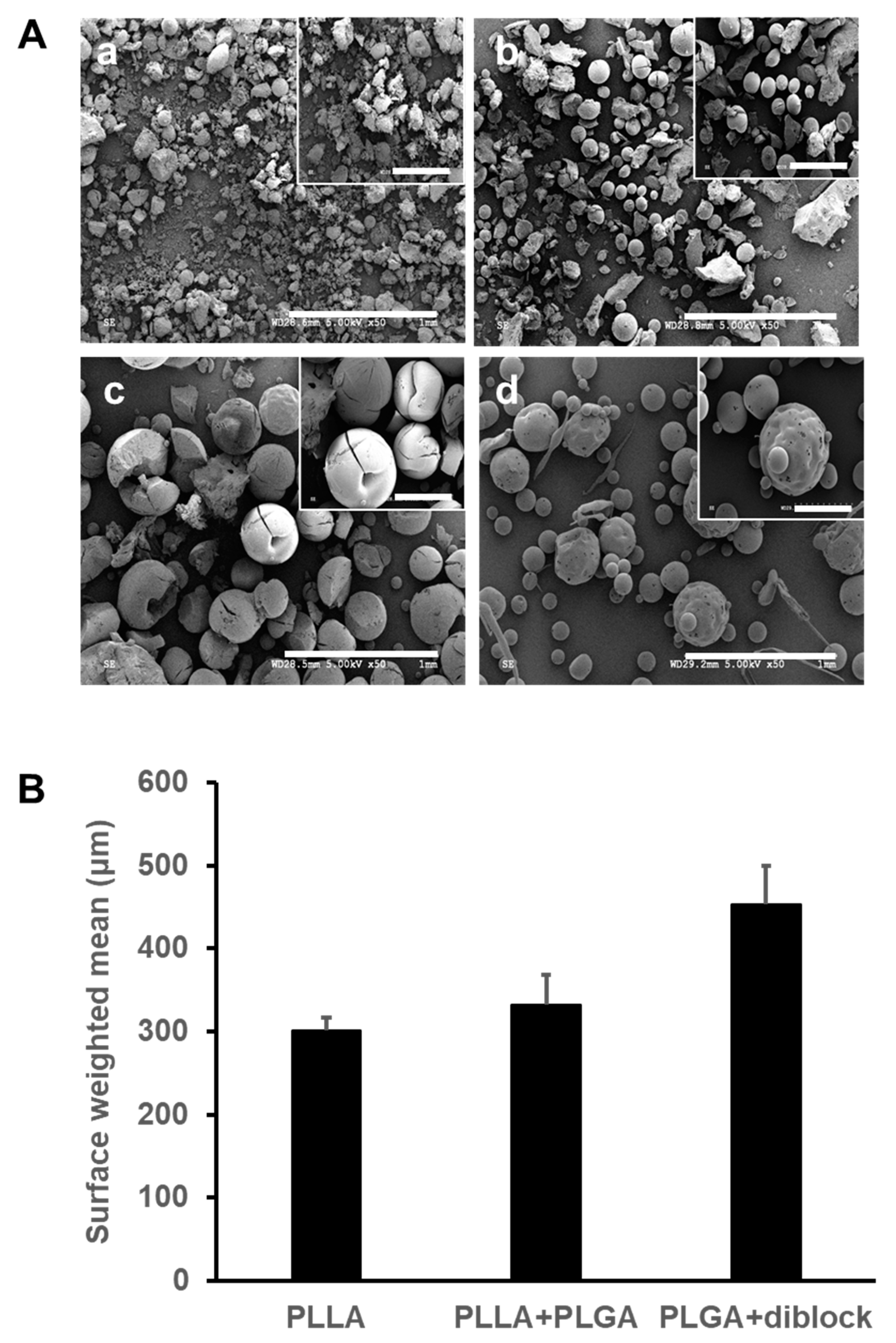 Bioengineering 10 00298 g001