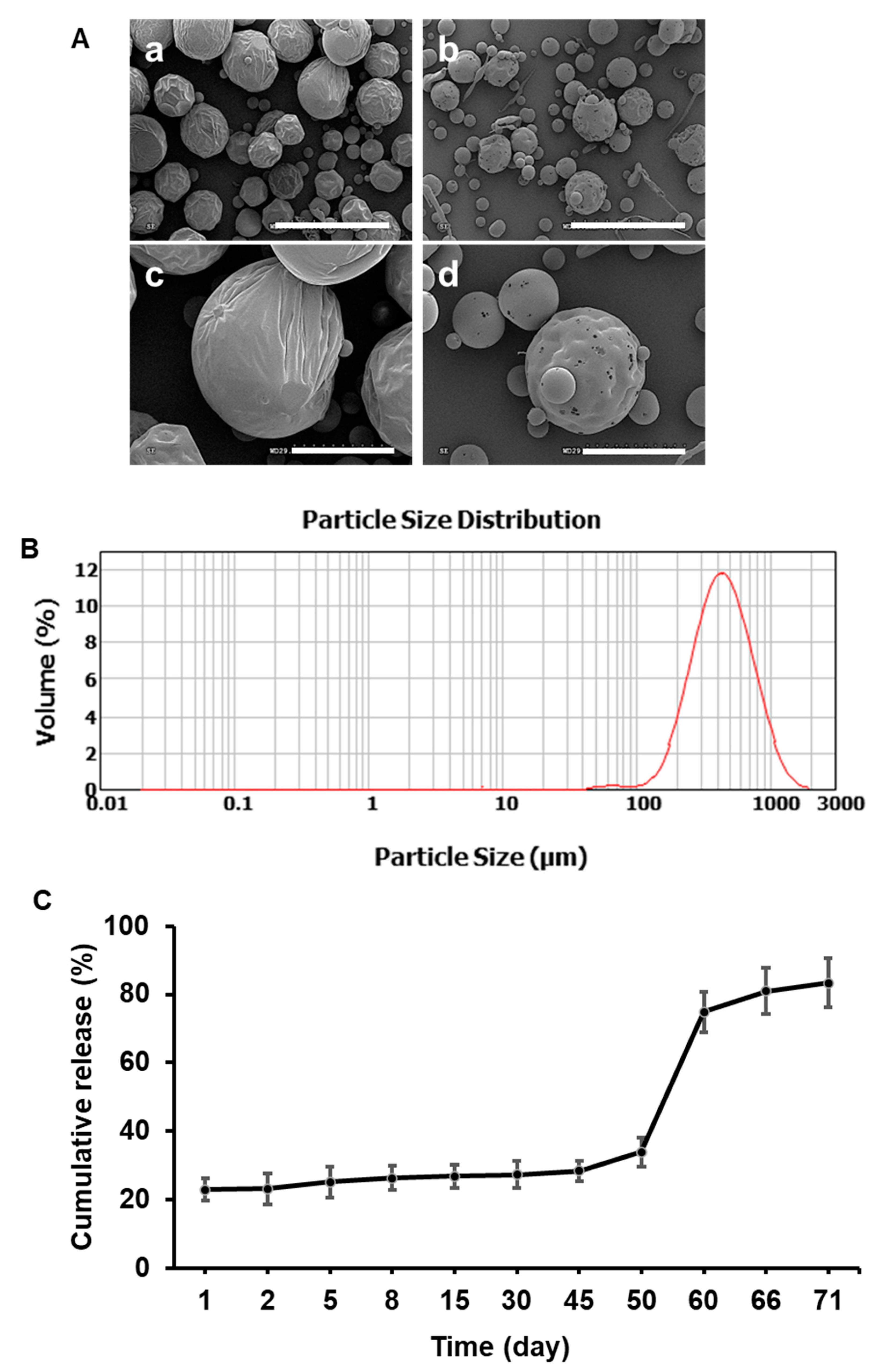 Bioengineering 10 00298 g003