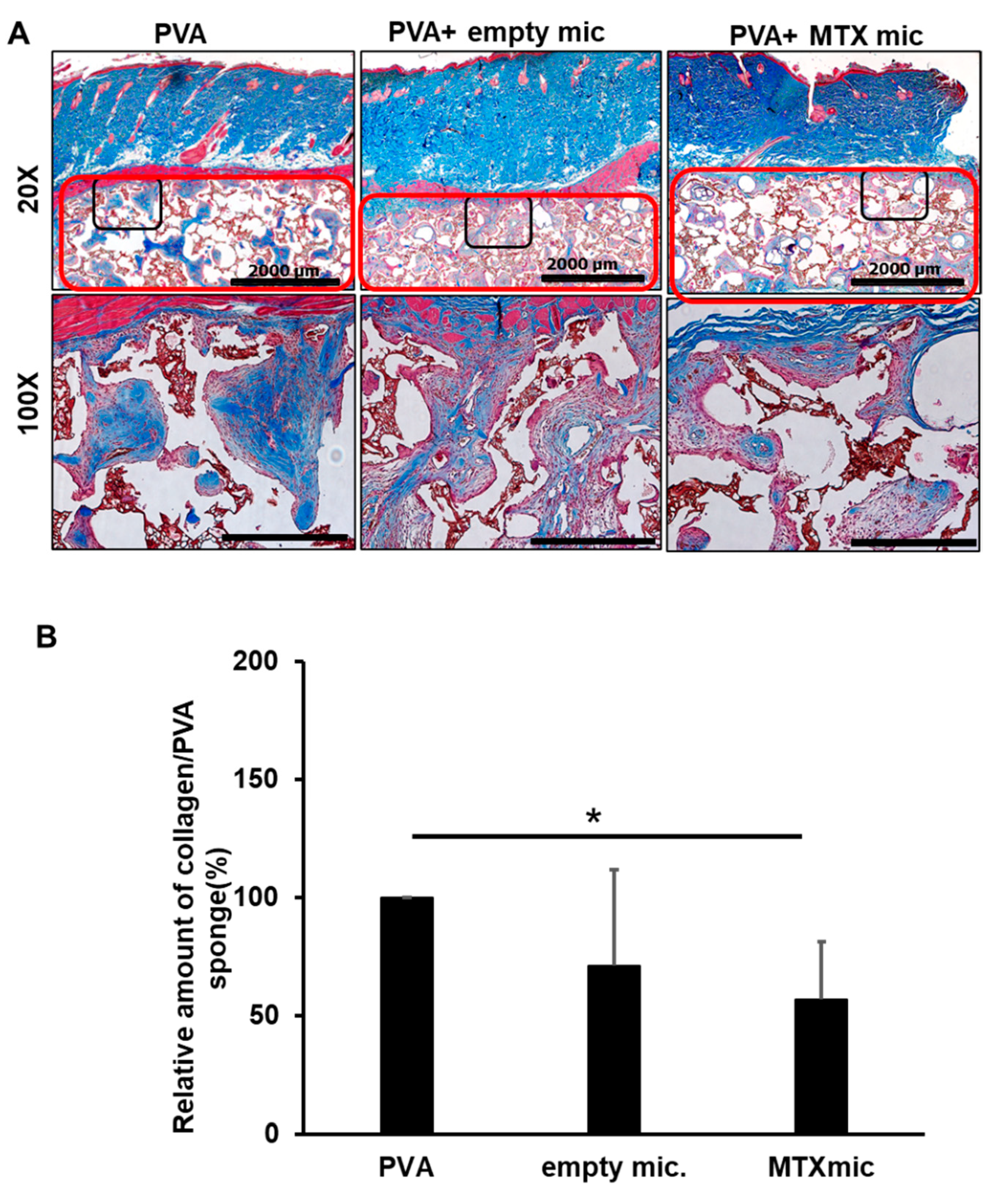Bioengineering 10 00298 g006