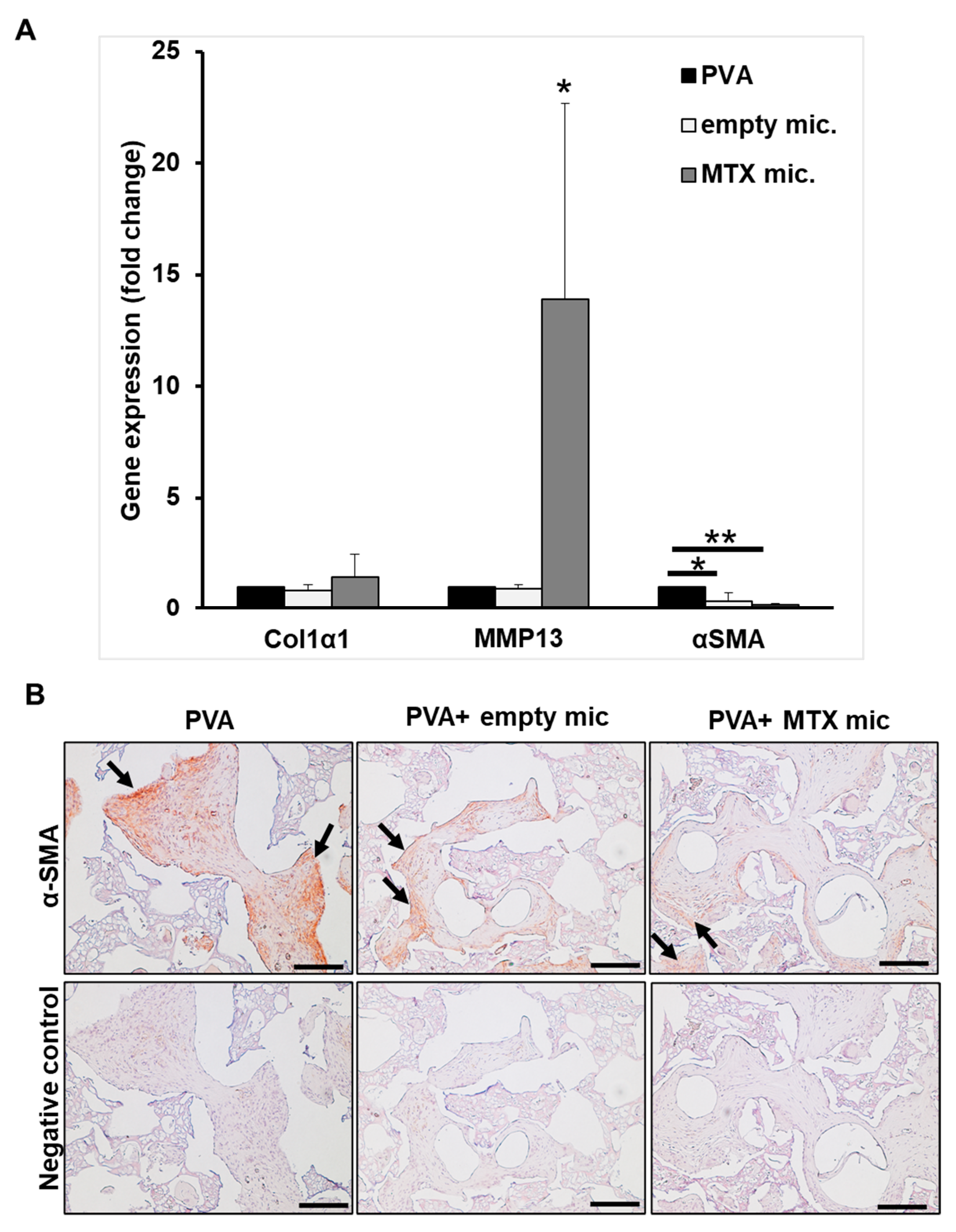 Bioengineering 10 00298 g007