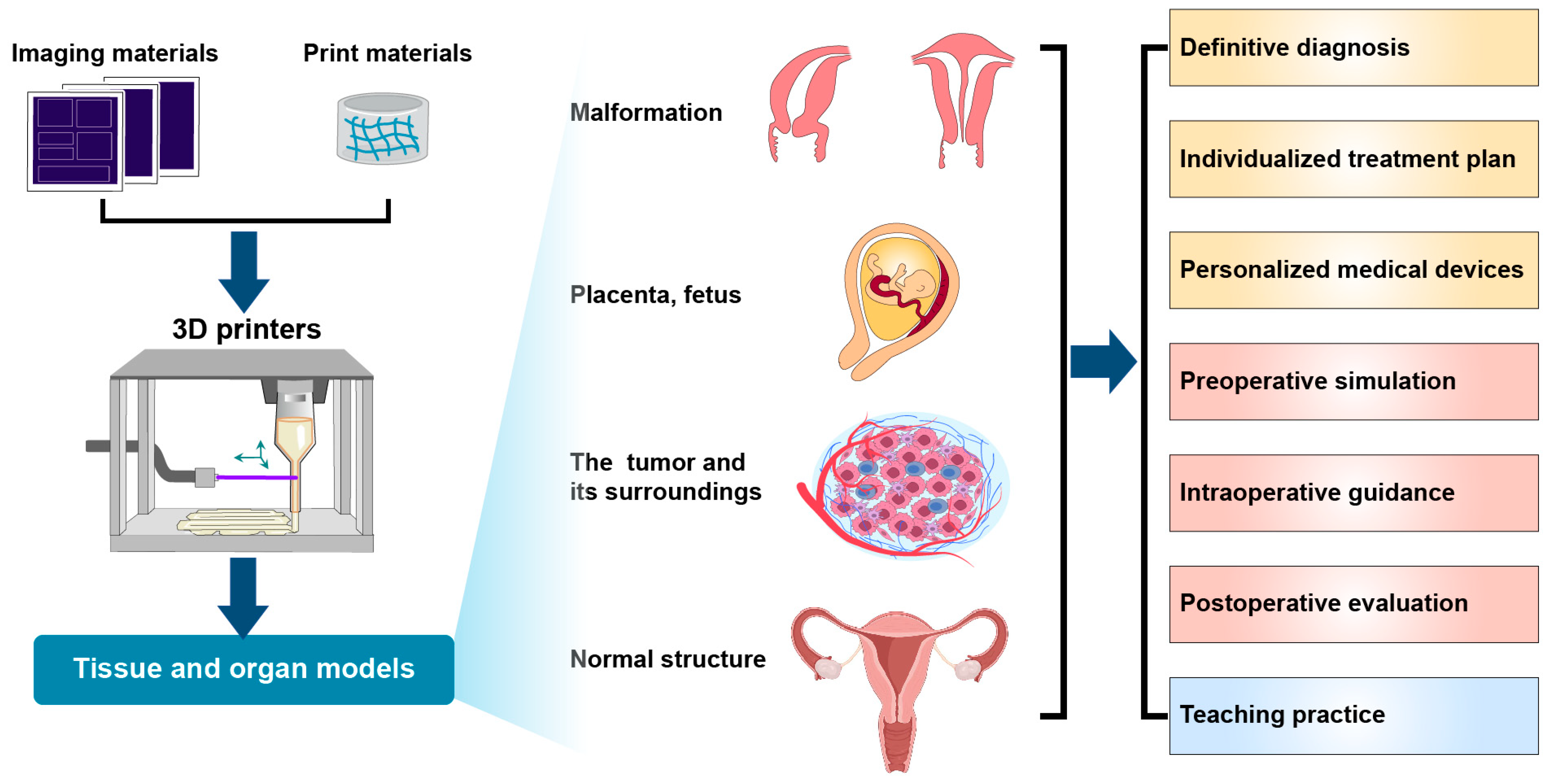 Bioengineering 10 00299 g003
