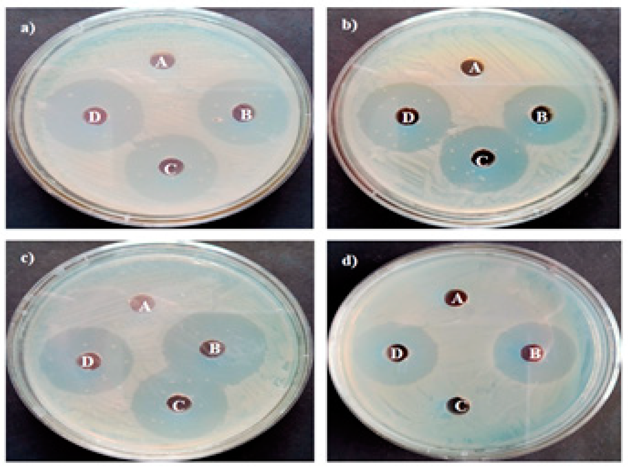 Bioengineering 10 00302 g012 Bioengineering 10 00302 g012