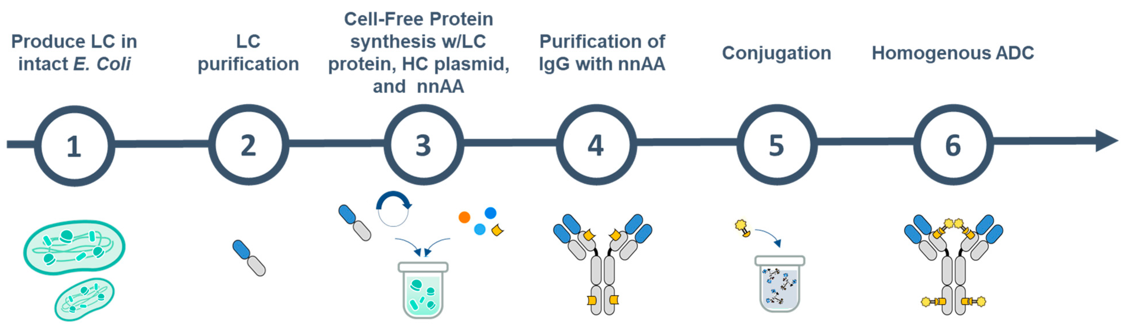 Bioengineering 10 00304 g001 Bioengineering 10 00304 g001