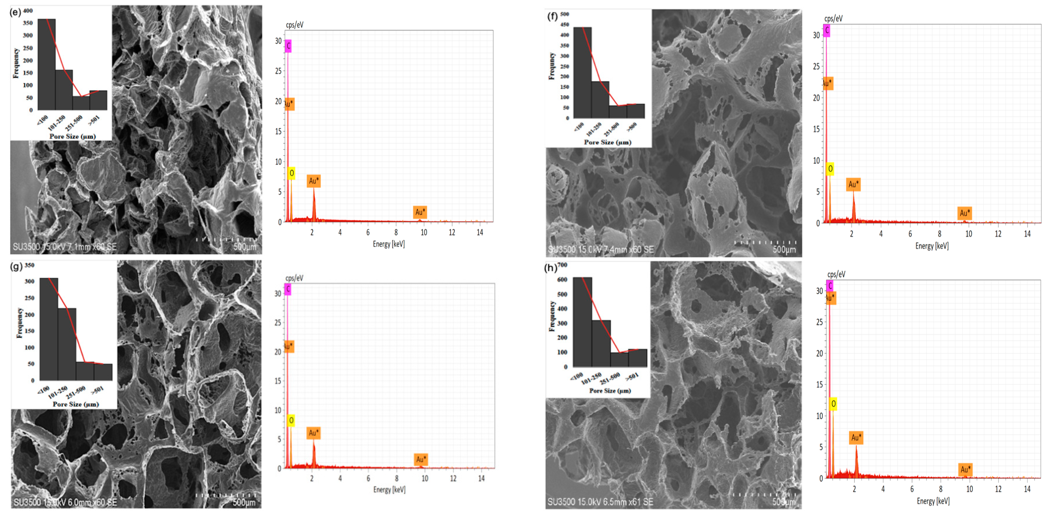 Bioengineering 10 00305 g003b Bioengineering 10 00305 g003b