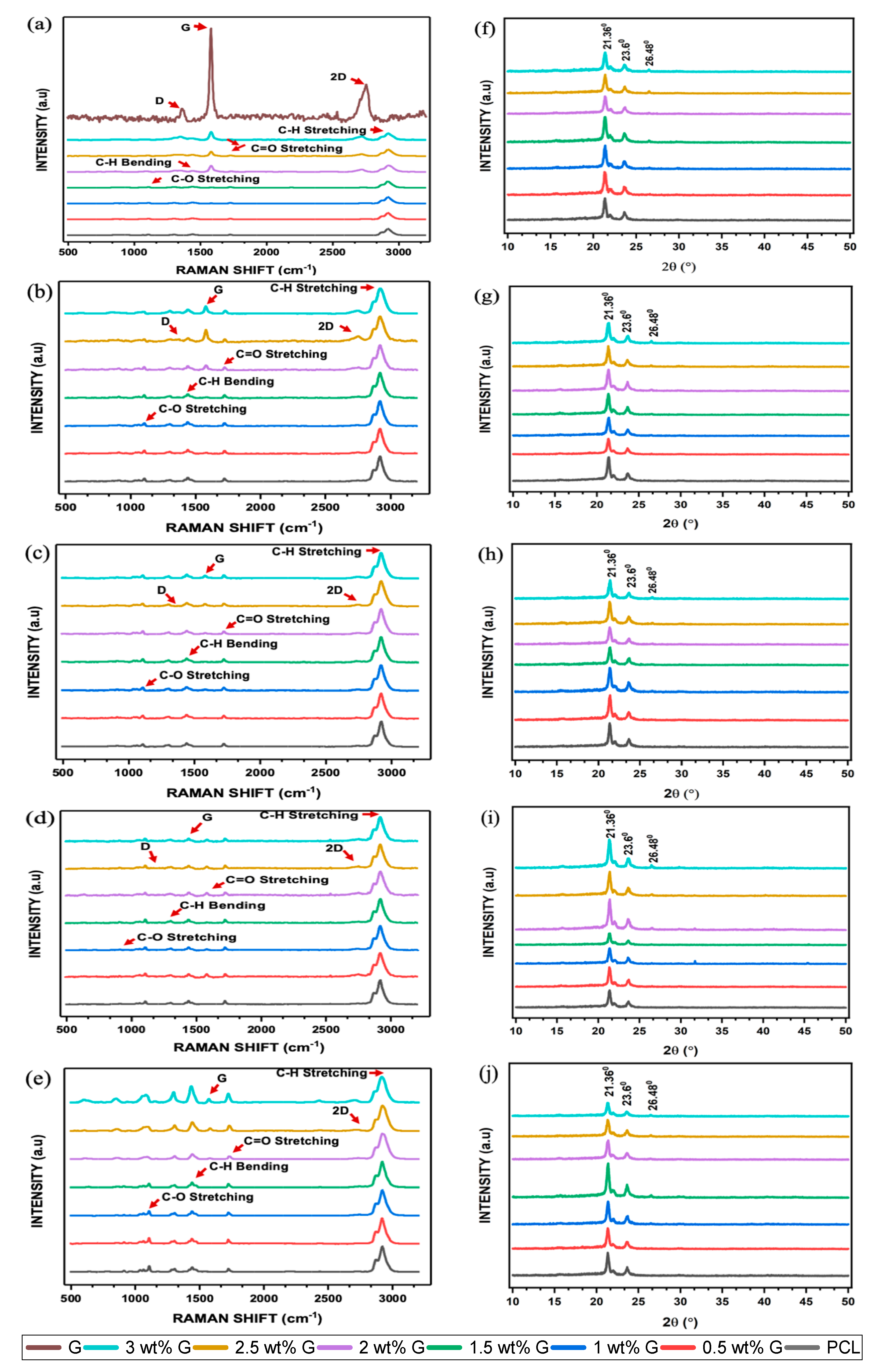 Bioengineering 10 00305 g005 Bioengineering 10 00305 g005