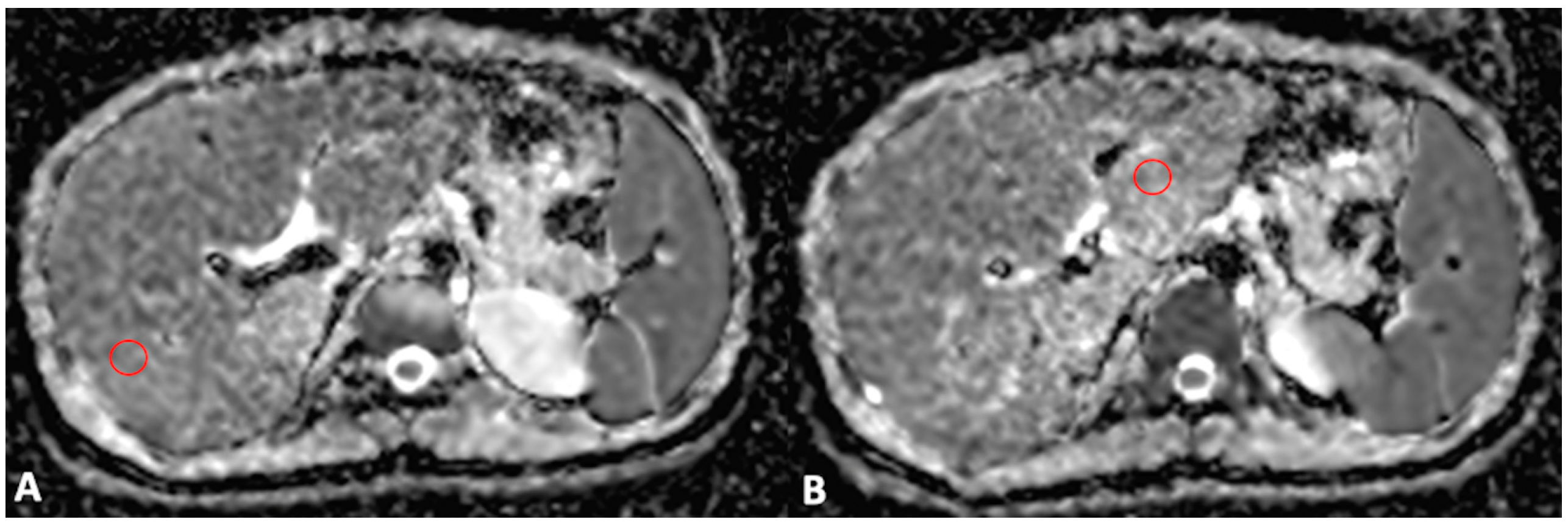 Bioengineering 10 00306 g001 Bioengineering 10 00306 g001