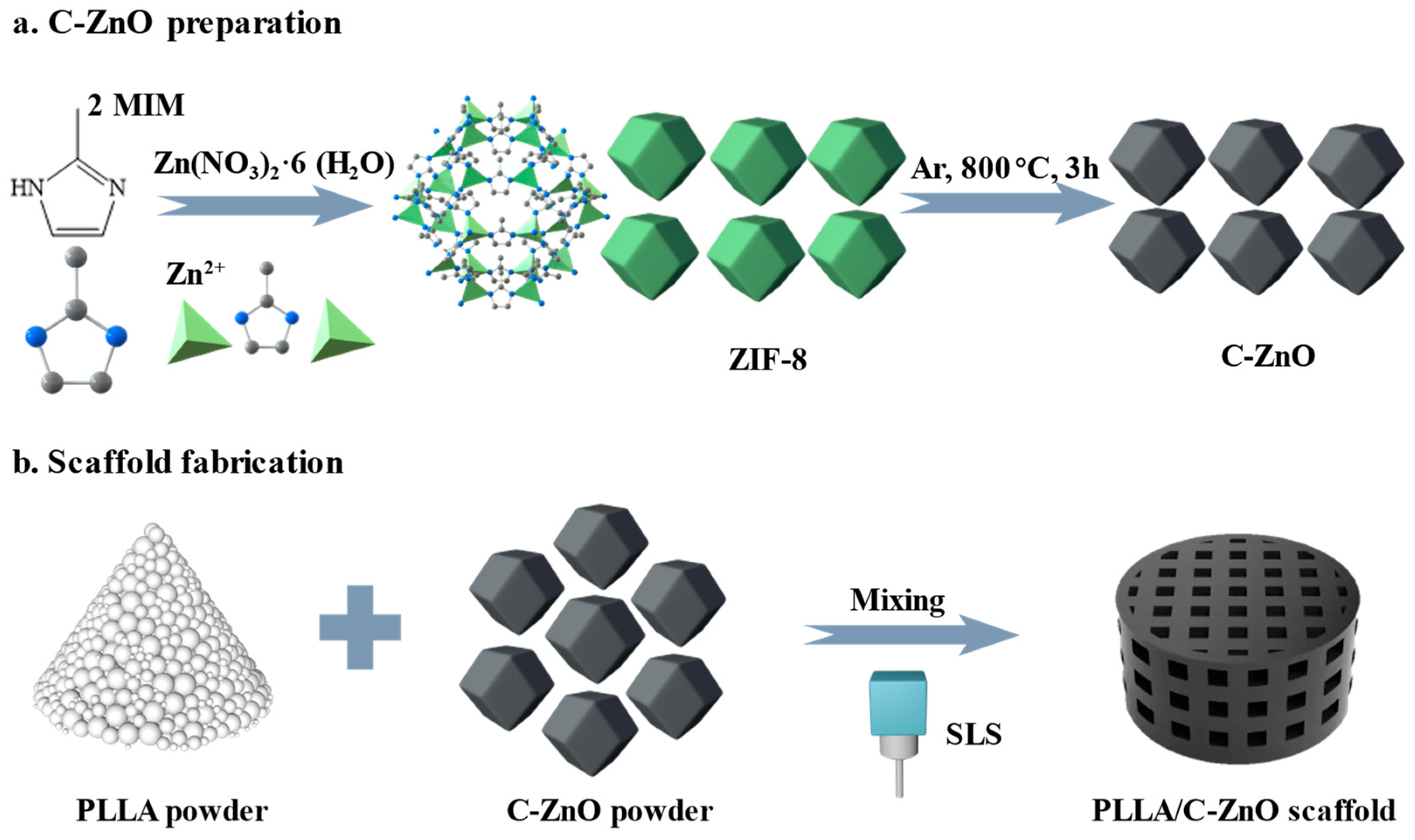 Bioengineering 10 00307 g001 Bioengineering 10 00307 g001