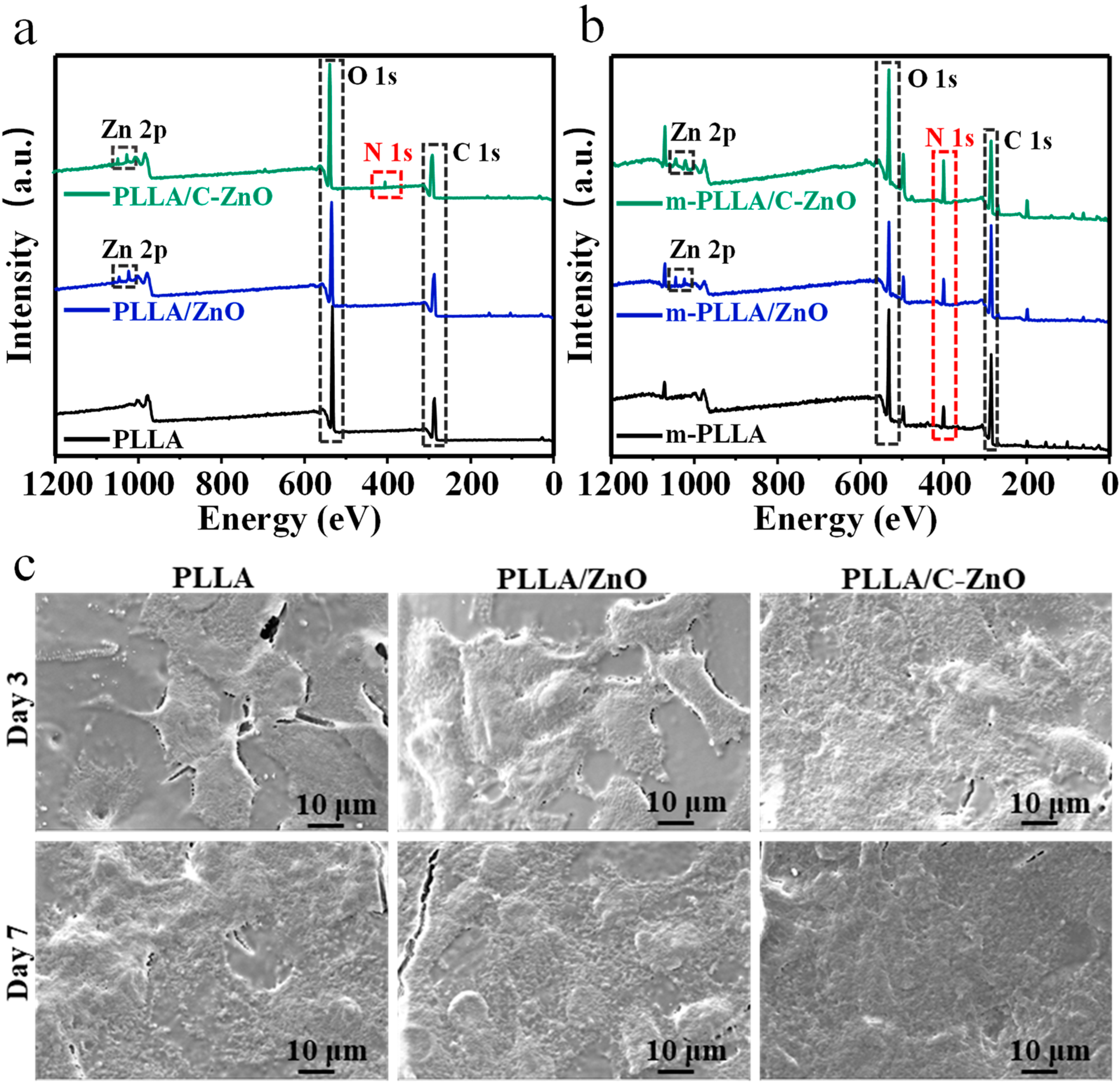 Bioengineering 10 00307 g004 Bioengineering 10 00307 g004