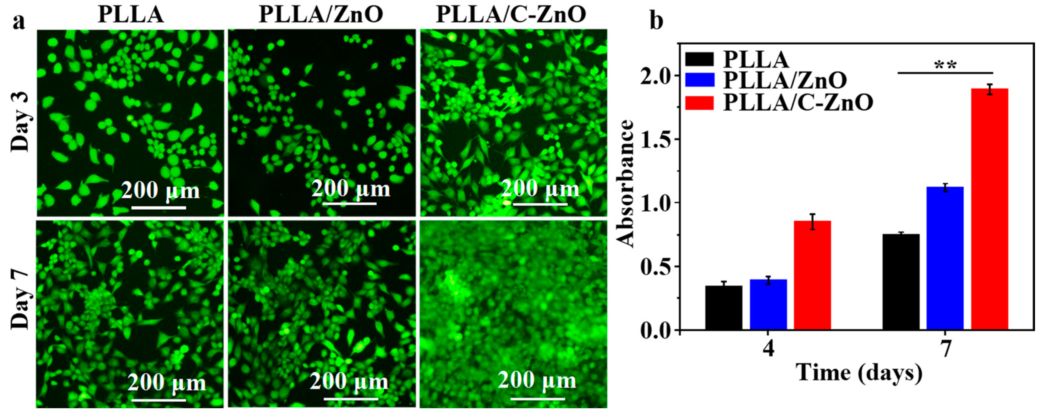 Bioengineering 10 00307 g005 Bioengineering 10 00307 g005