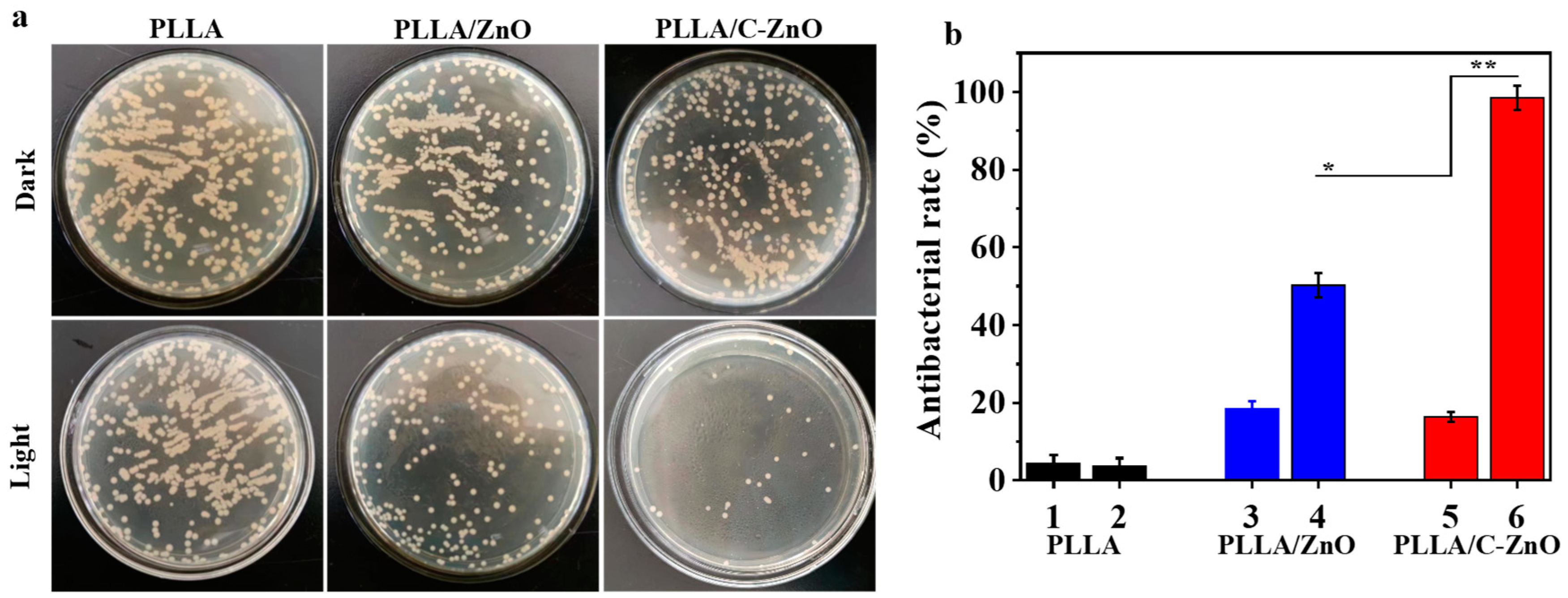 Bioengineering 10 00307 g007 Bioengineering 10 00307 g007
