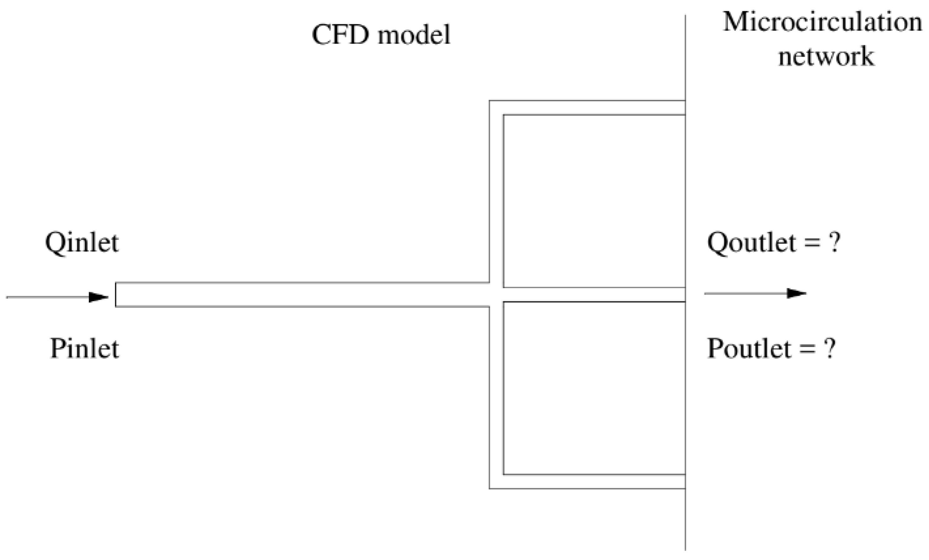 Bioengineering 10 00309 g001