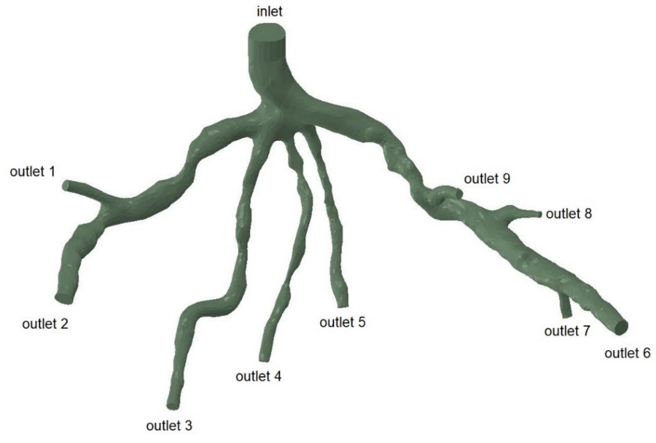Bioengineering 10 00309 g003