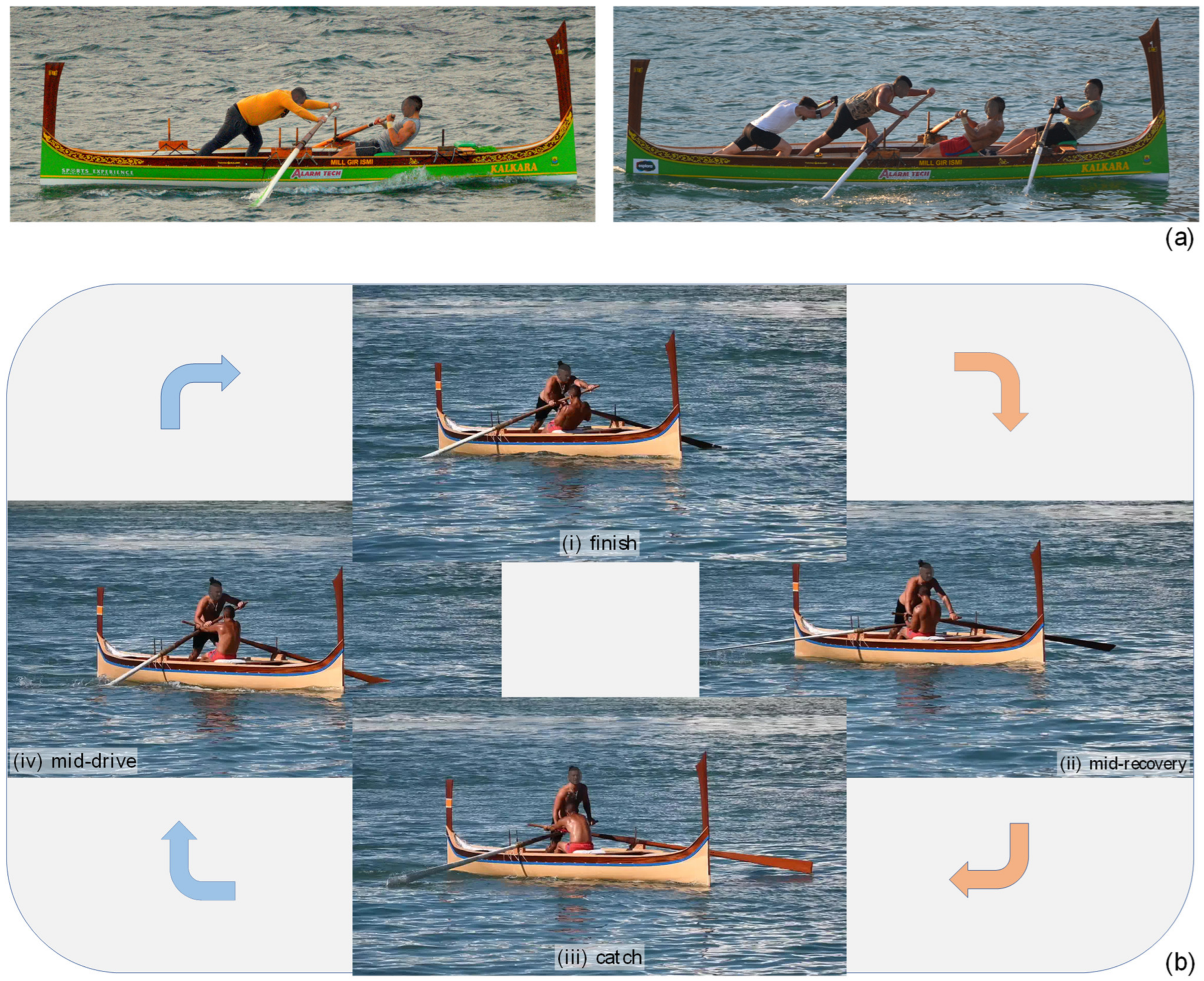 Bioengineering 10 00310 g001