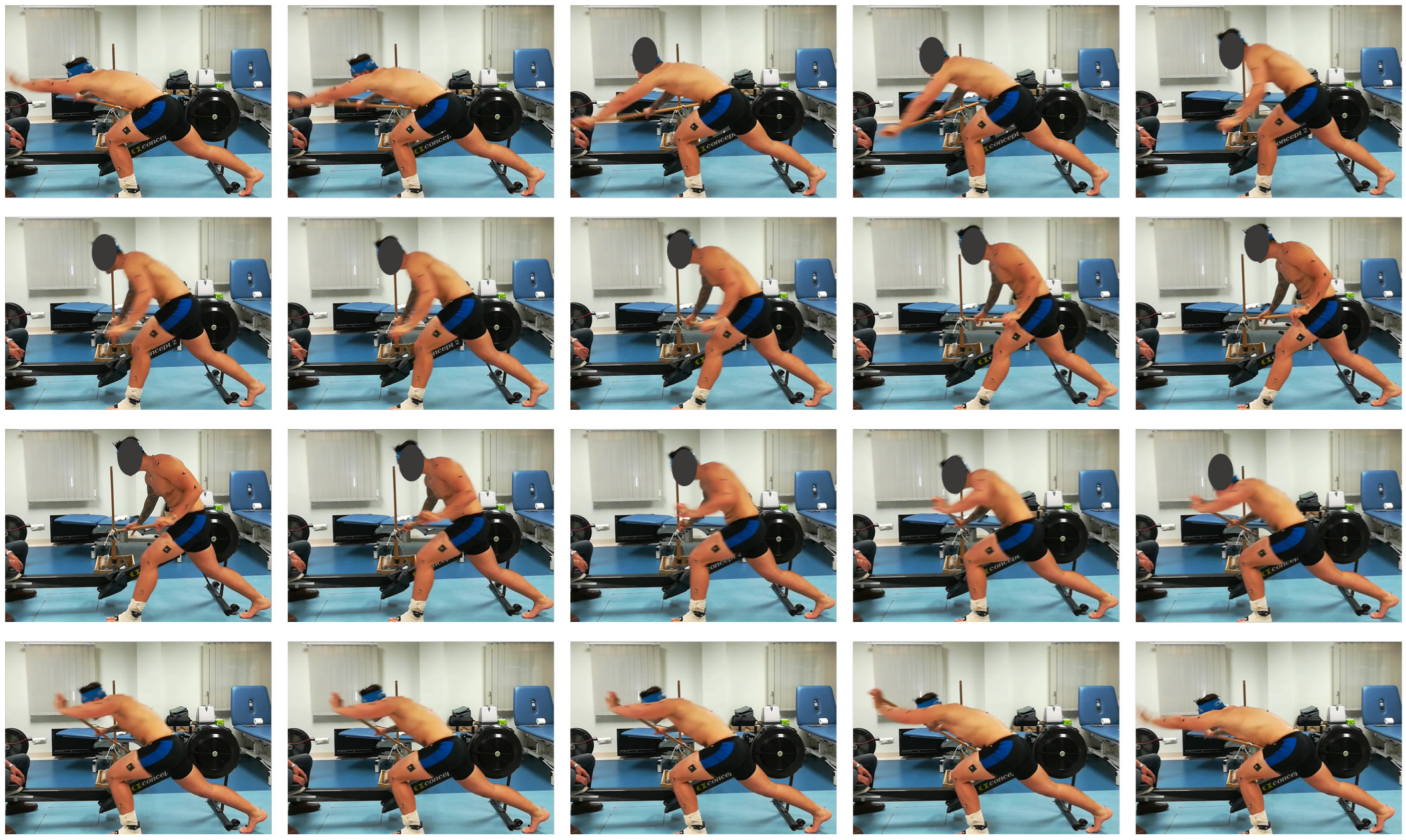 Bioengineering 10 00310 g004