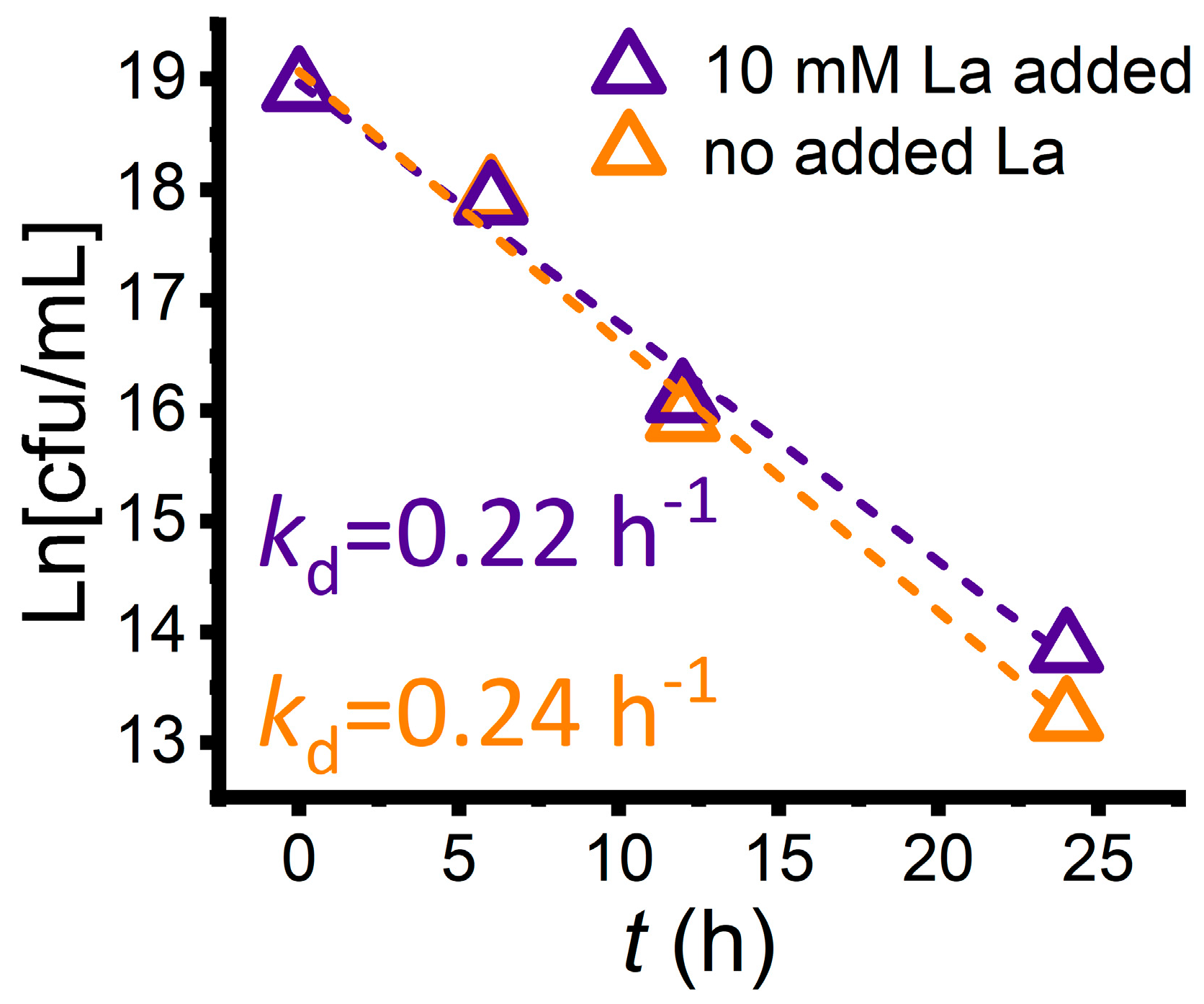 Bioengineering 10 00311 g006 Bioengineering 10 00311 g006