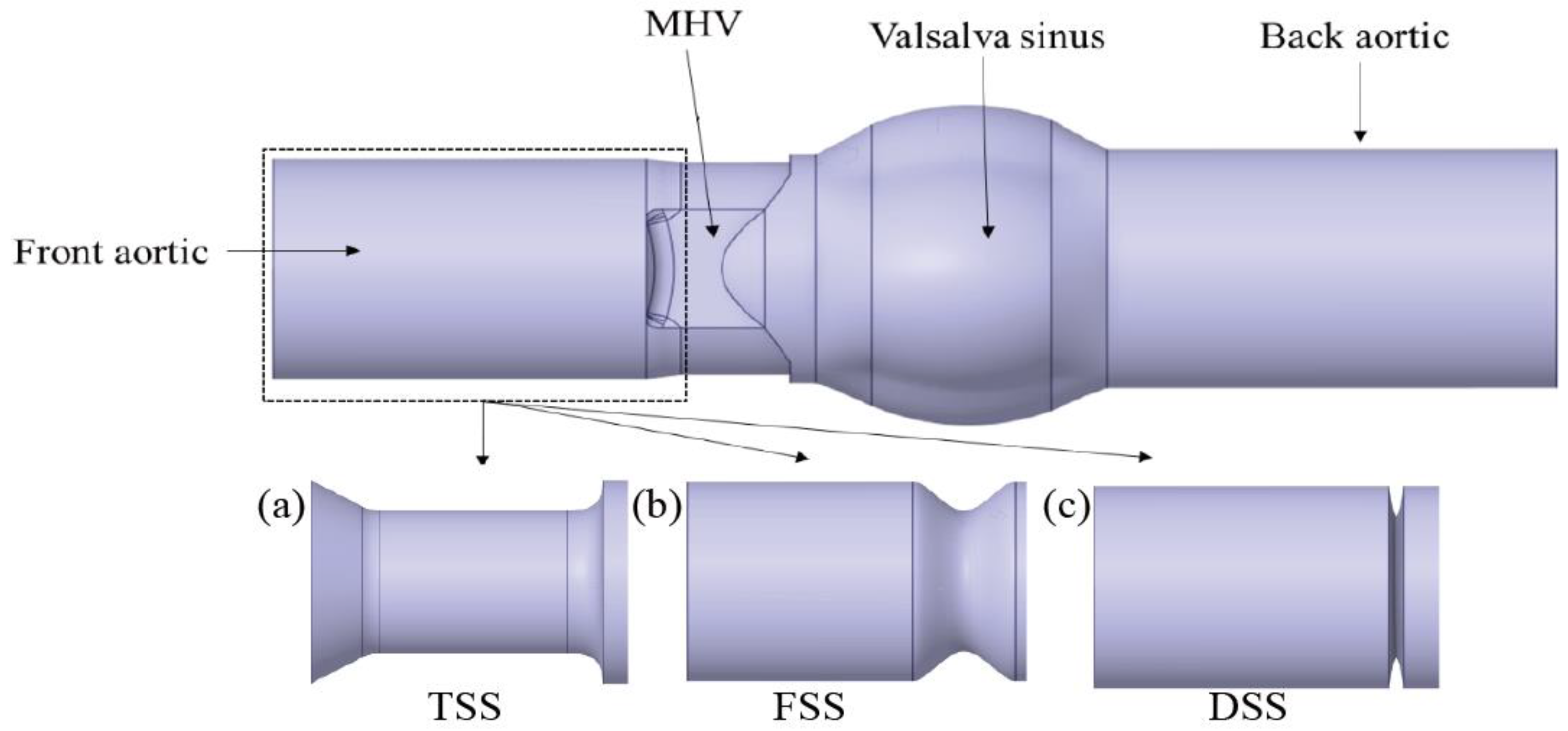 Bioengineering 10 00312 g001