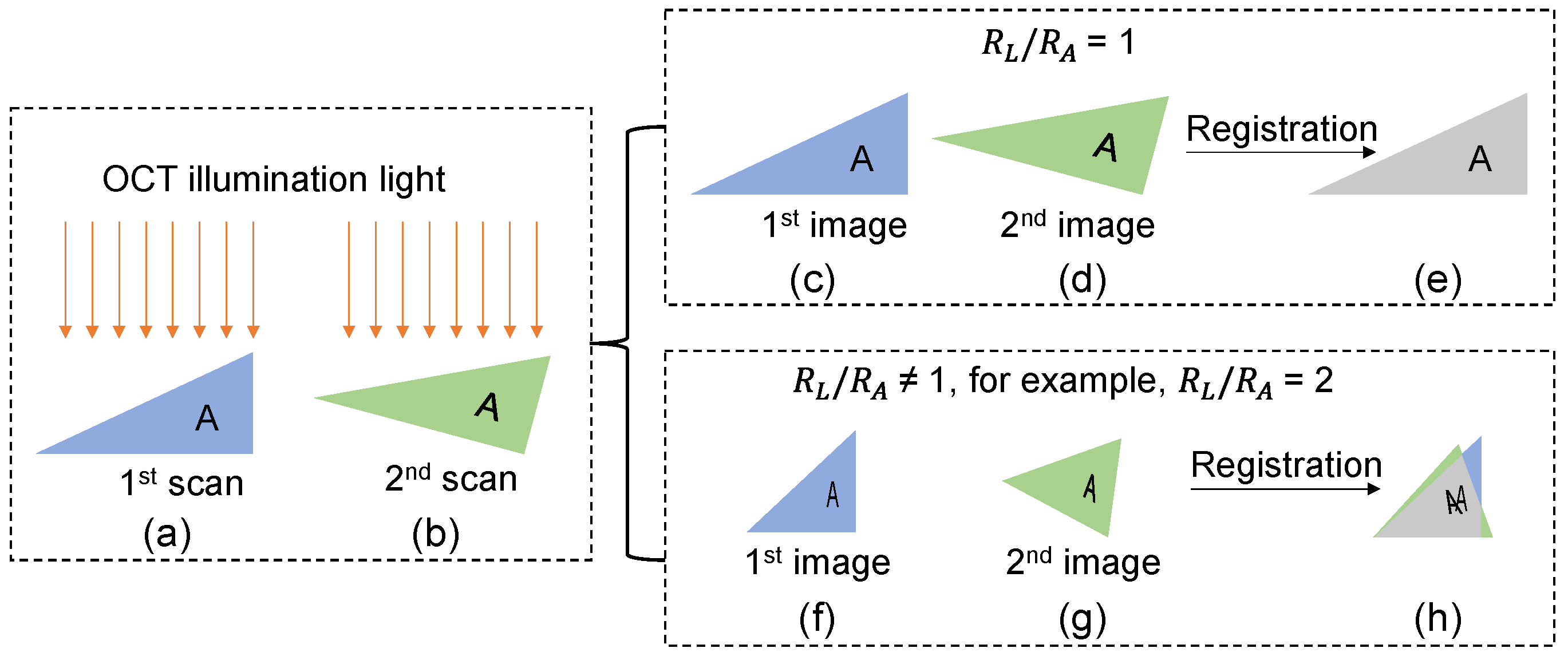 Bioengineering 10 00313 g001