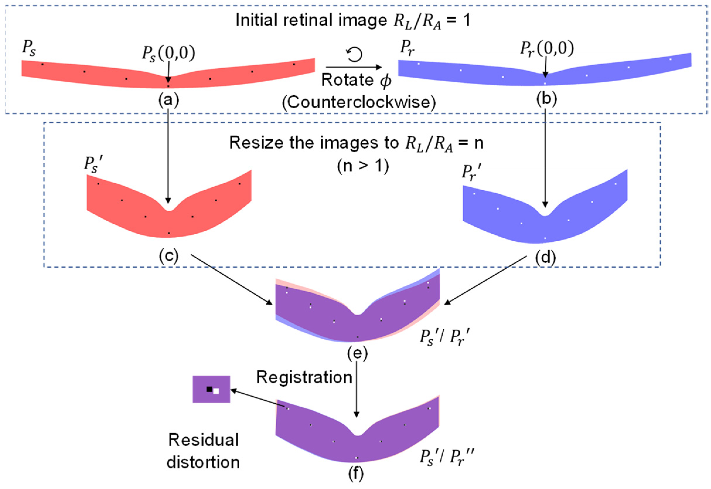 Bioengineering 10 00313 g002