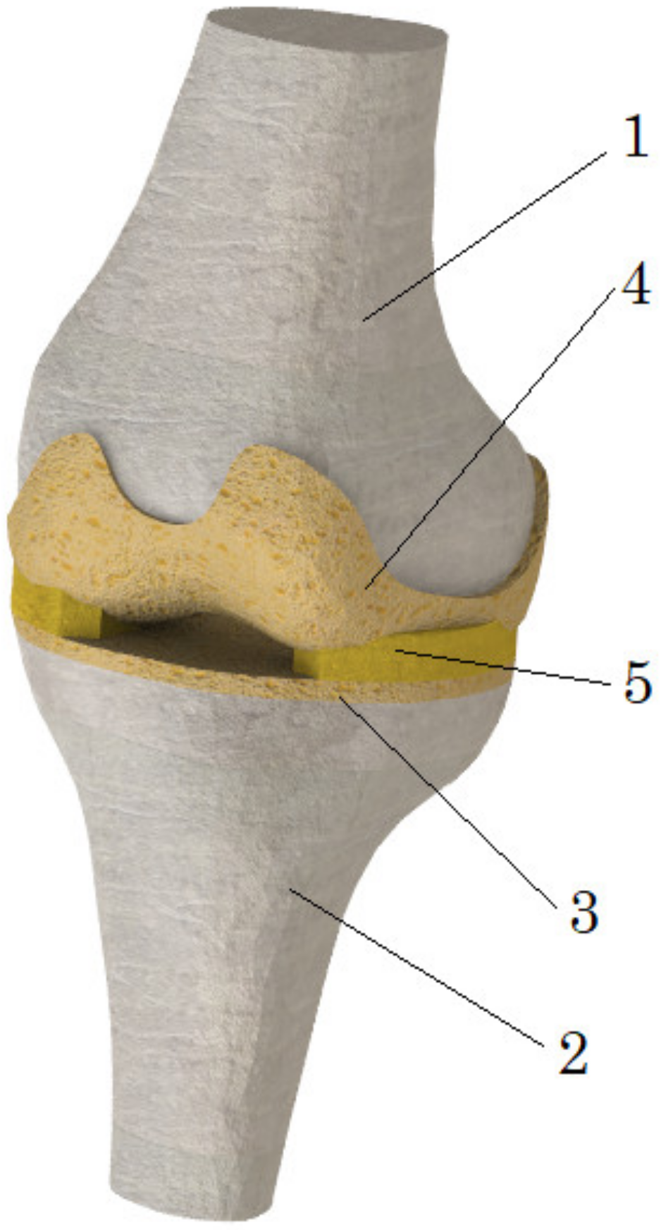 Bioengineering 10 00314 g001 Bioengineering 10 00314 g001
