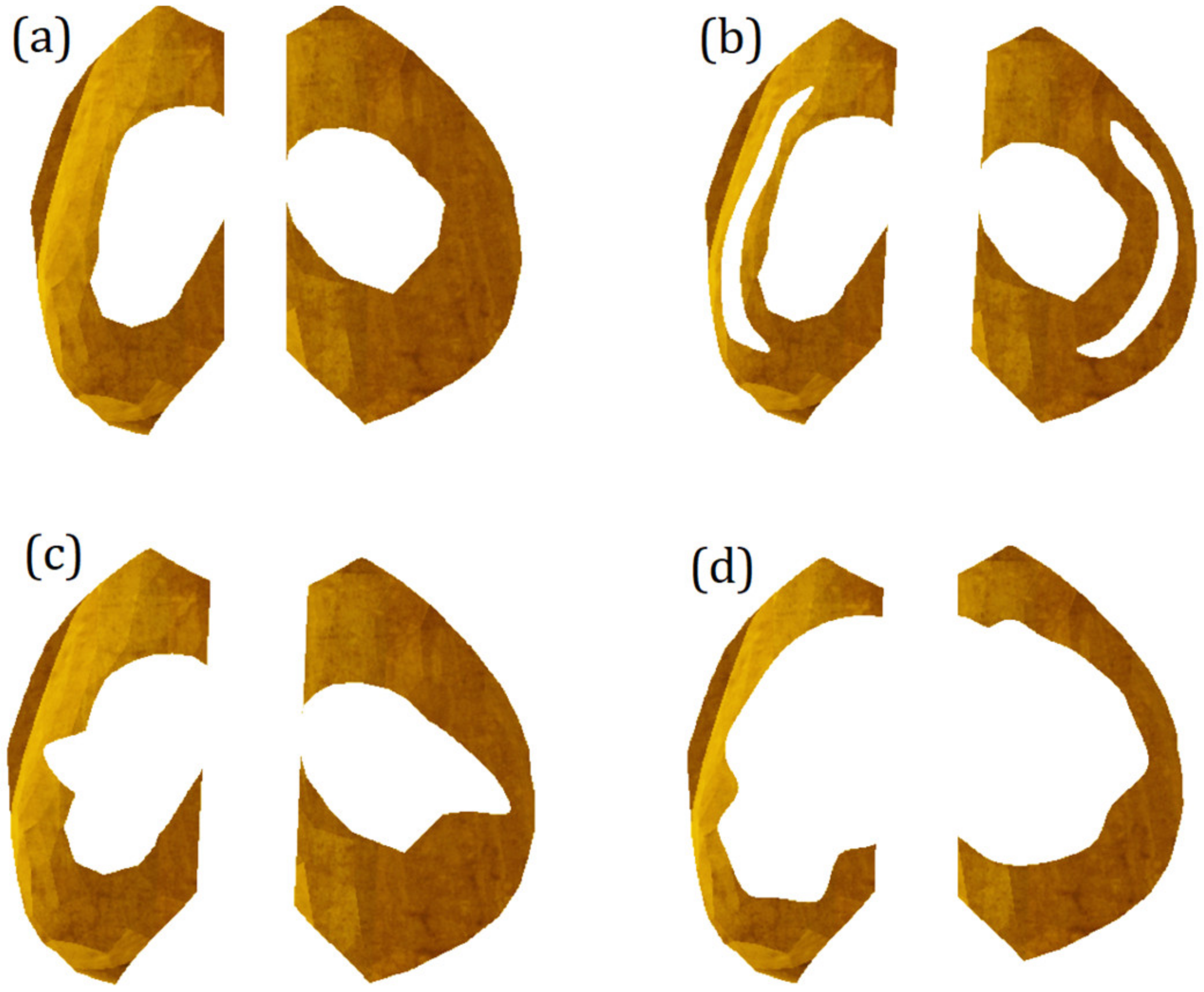 Bioengineering 10 00314 g005 Bioengineering 10 00314 g005