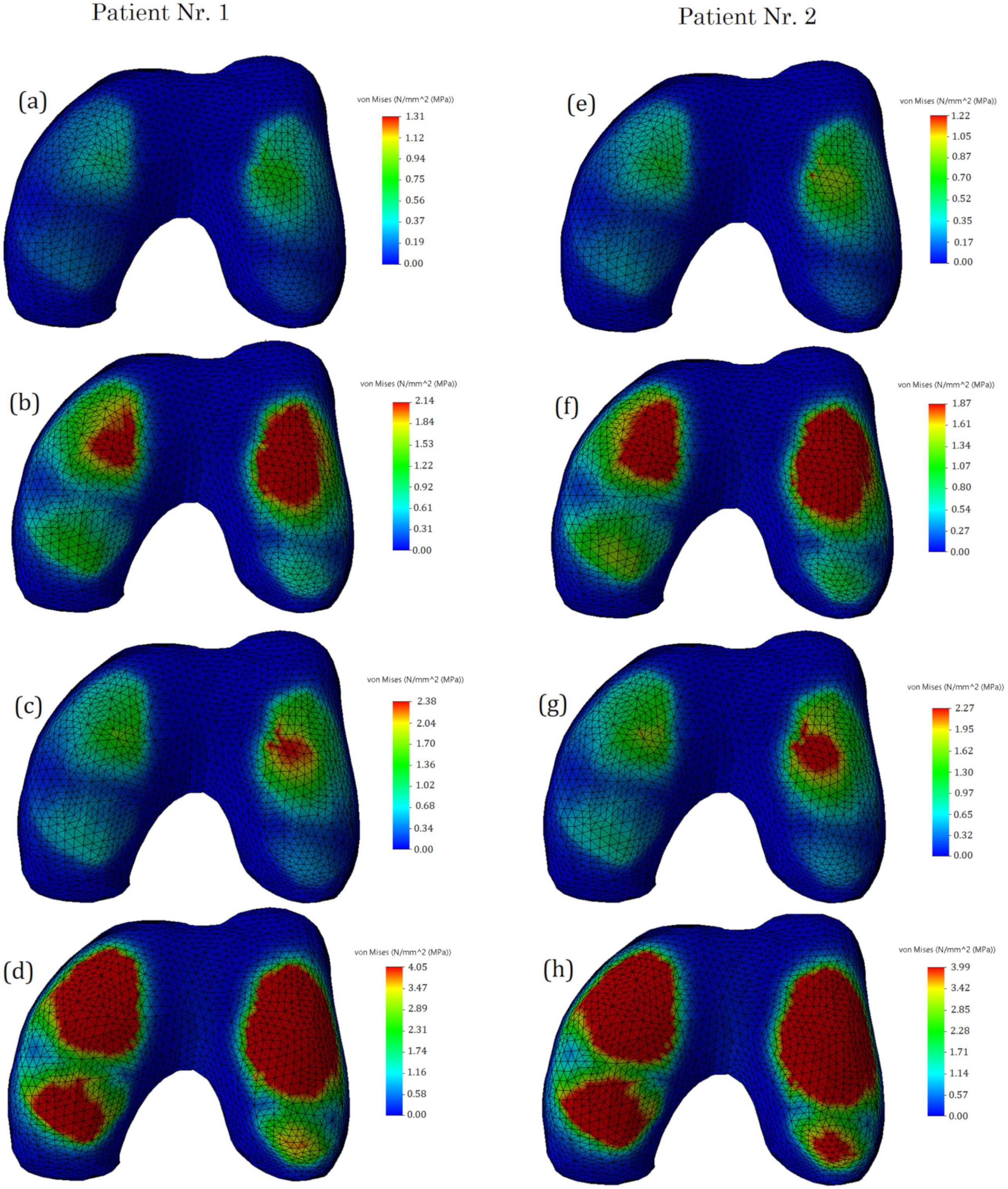 Bioengineering 10 00314 g007 Bioengineering 10 00314 g007