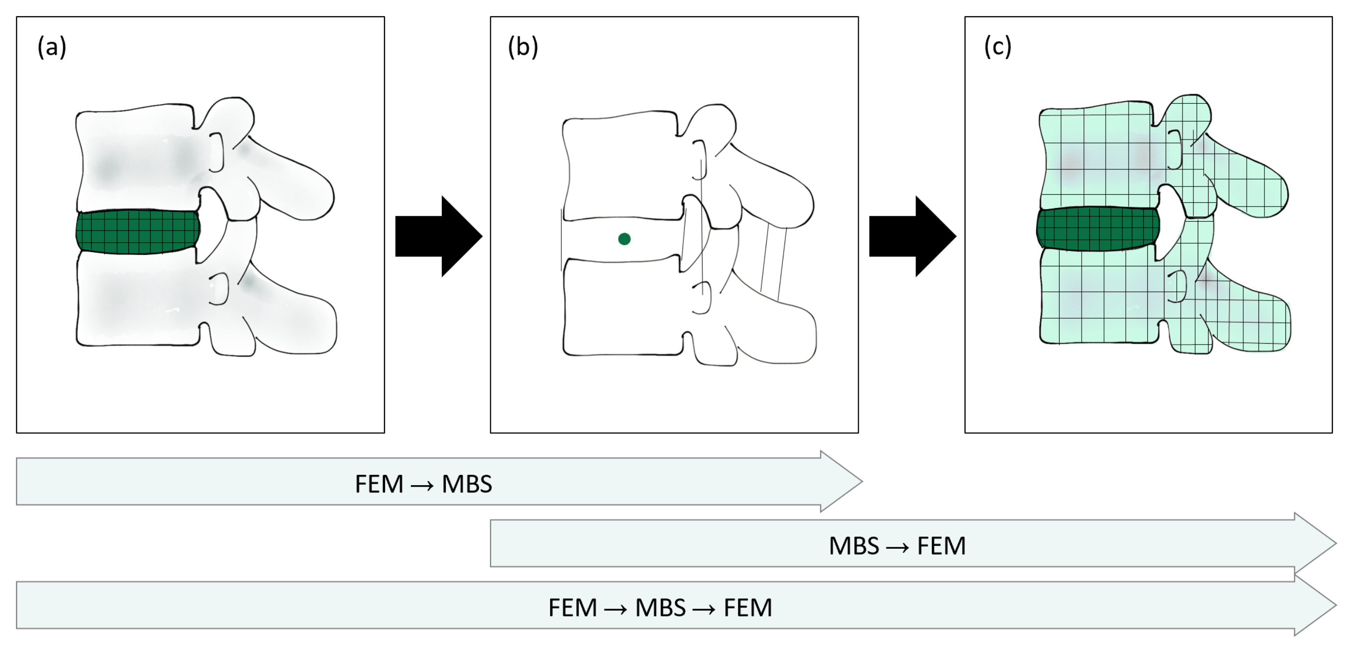 Bioengineering 10 00315 g001