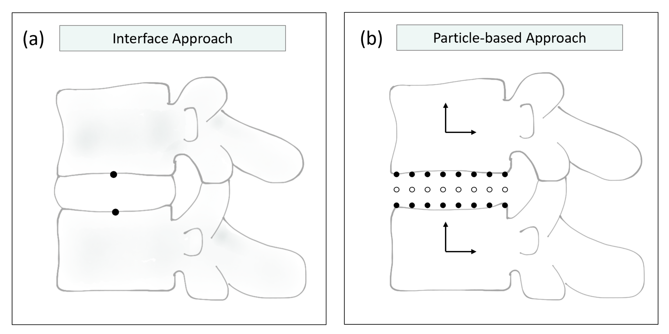 Bioengineering 10 00315 g002