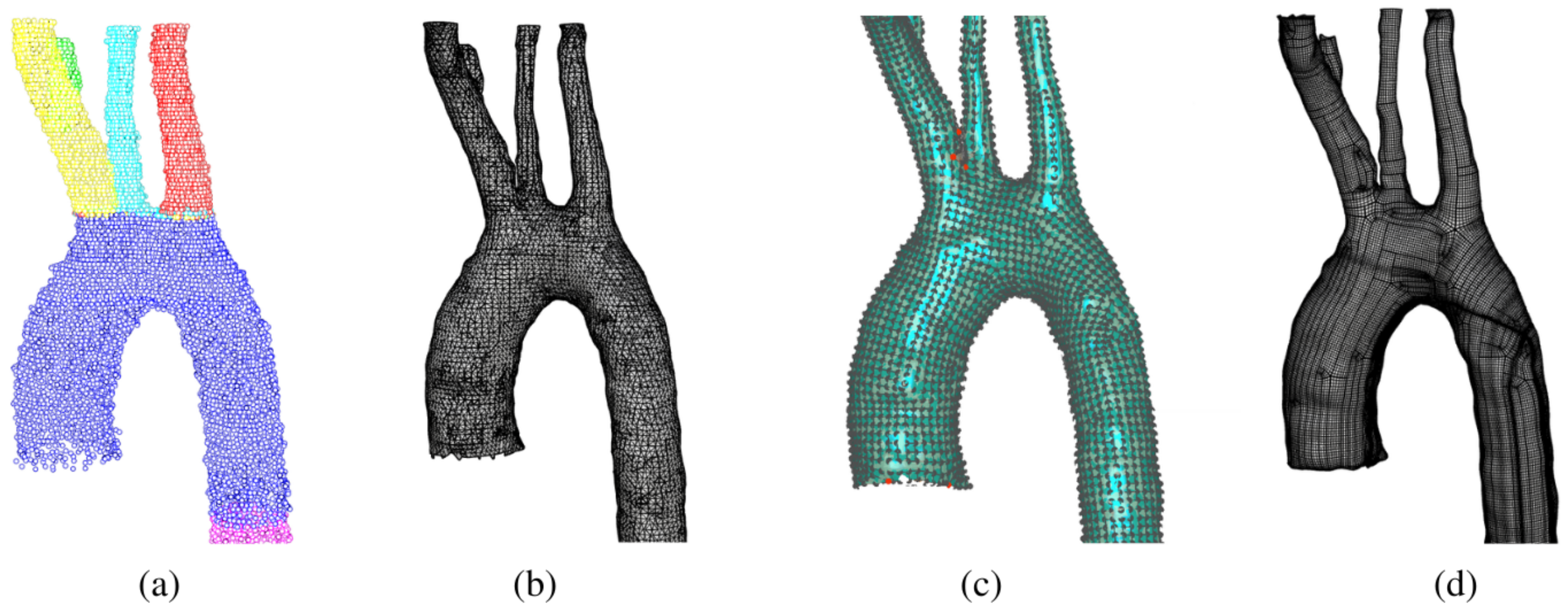 Bioengineering 10 00316 g004