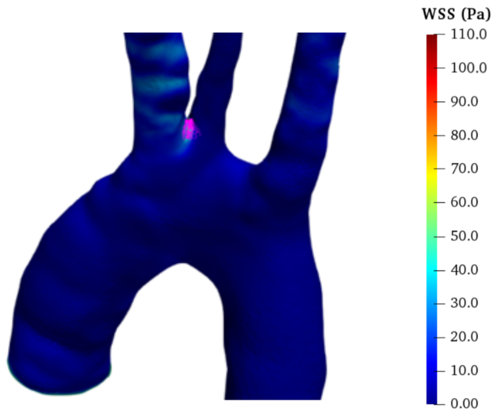 Bioengineering 10 00316 g007