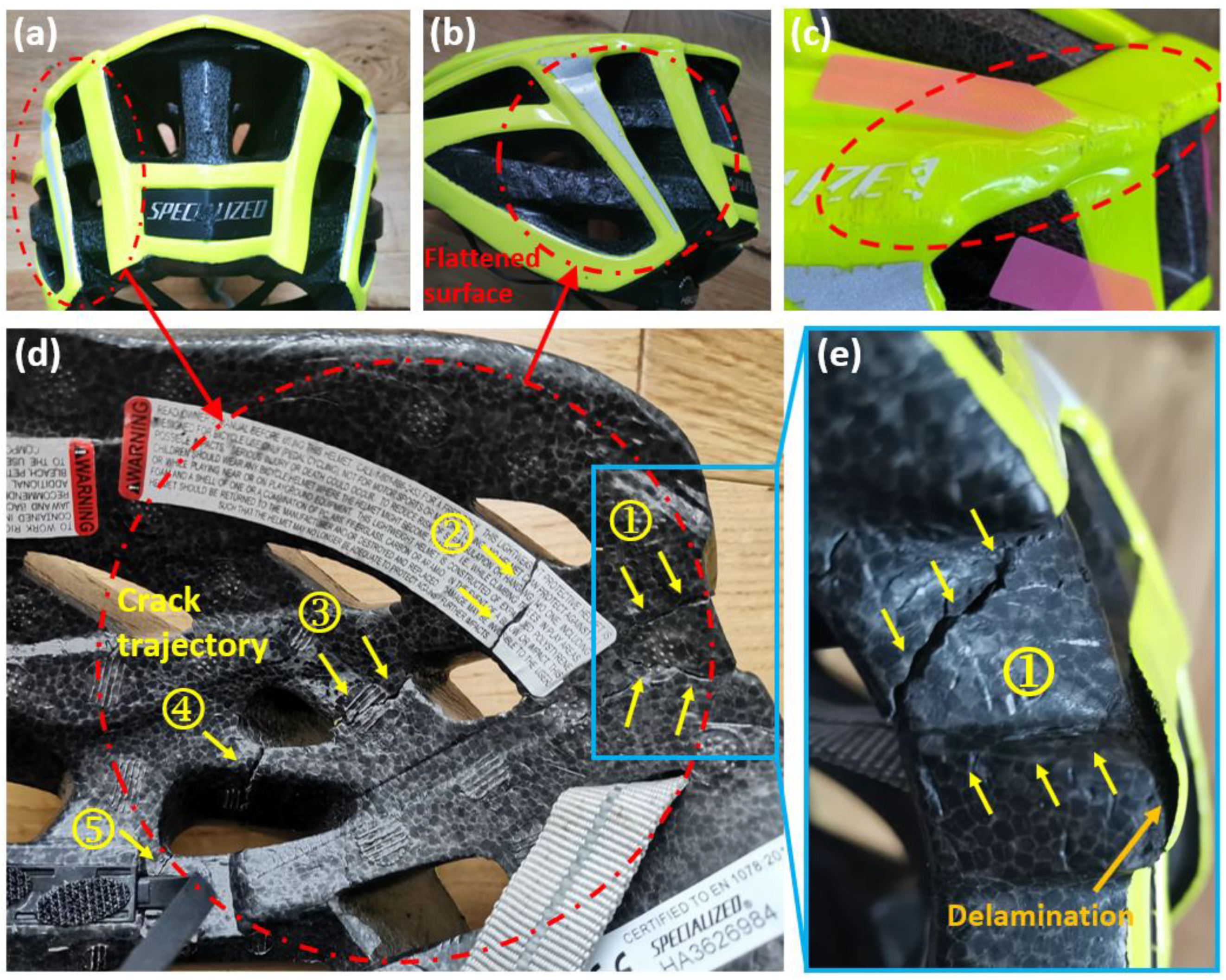 Bioengineering 10 00317 g002 Bioengineering 10 00317 g002