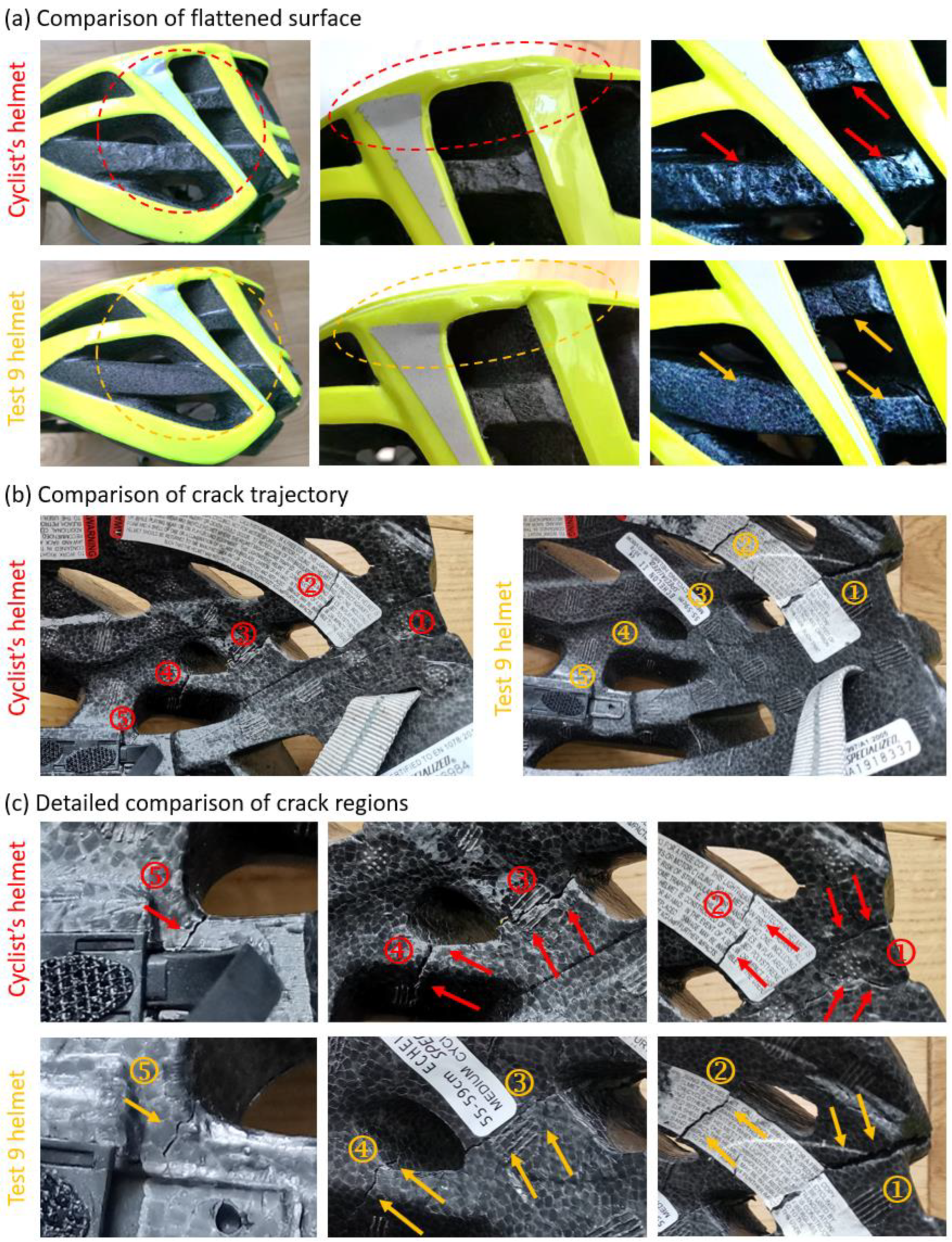 Bioengineering 10 00317 g004 Bioengineering 10 00317 g004