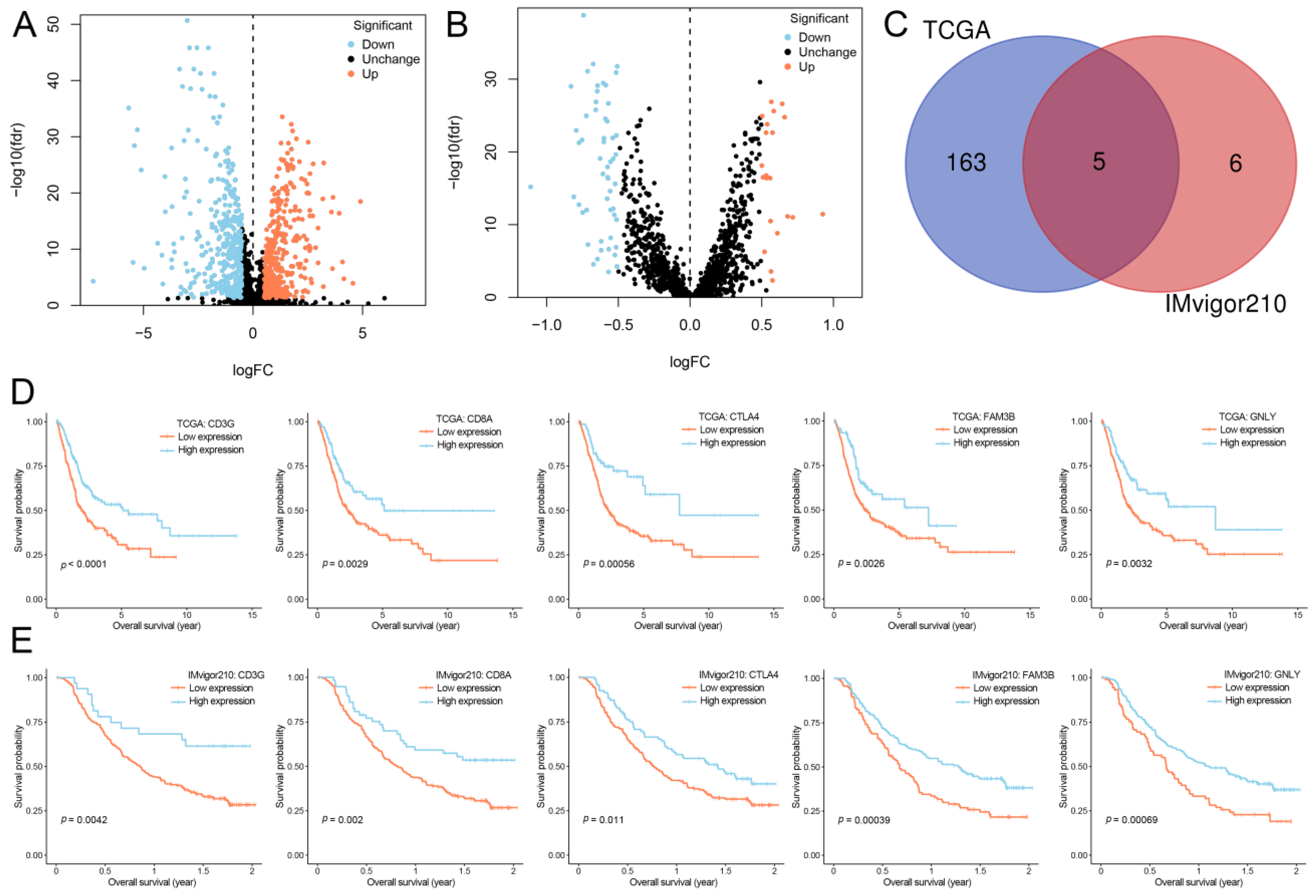 Bioengineering 10 00318 g003